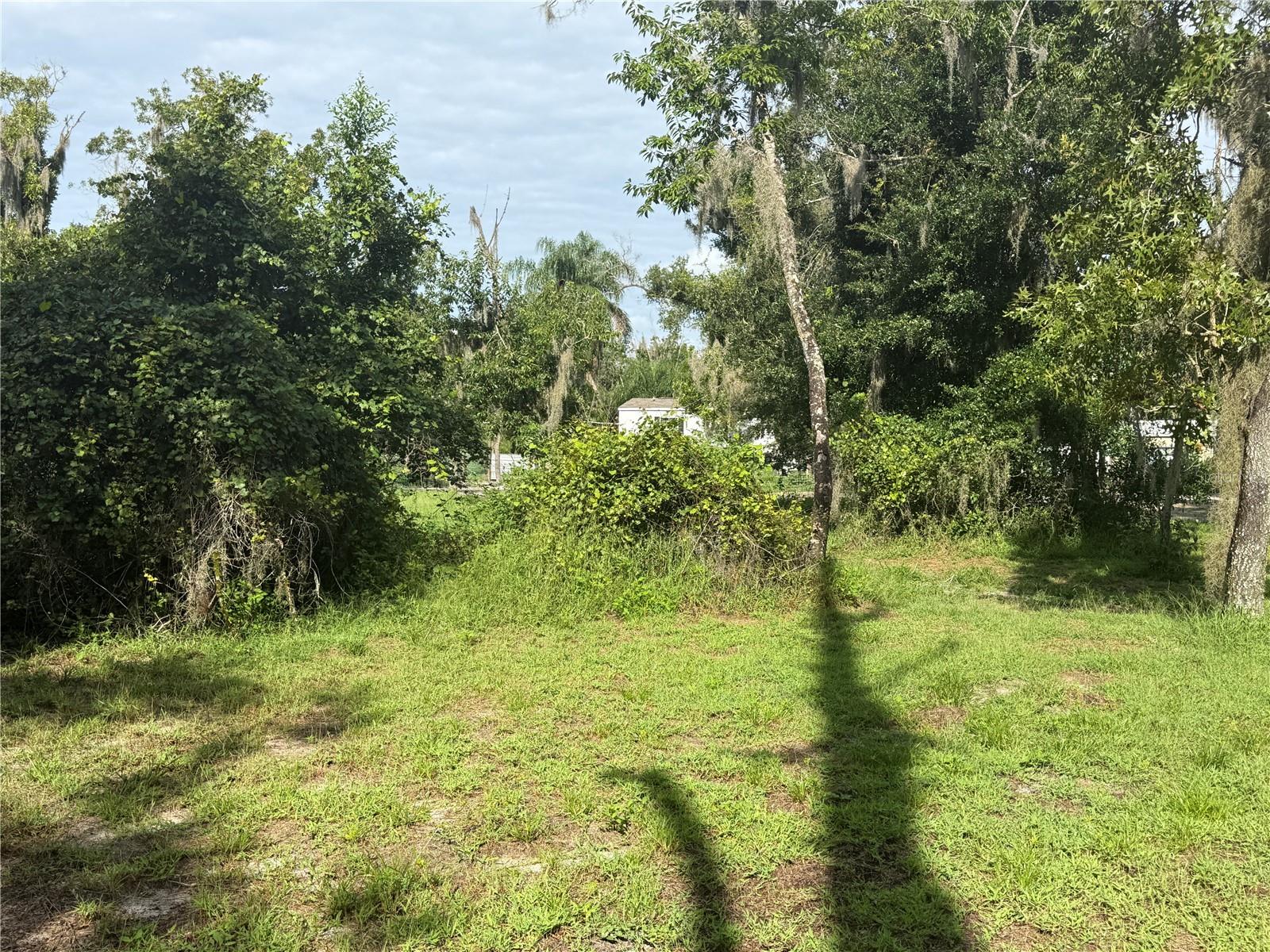 10305 REVELL RD — photo 50
