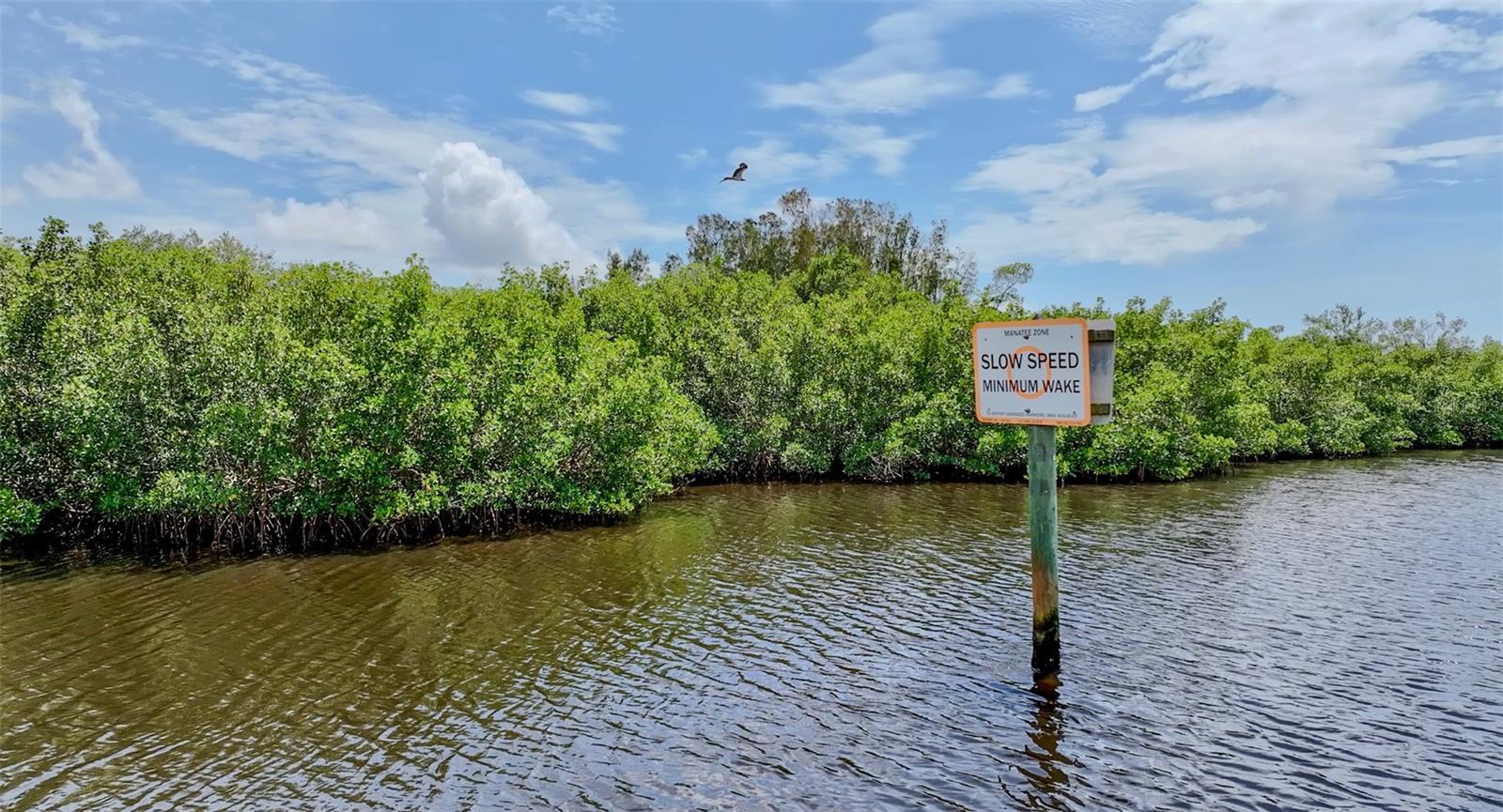 6817 BAYSHORE RD — photo 8