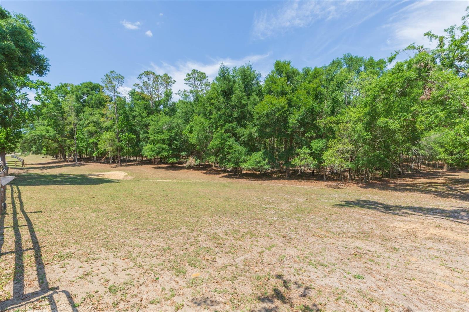 34211 BLANTON RD — photo 84