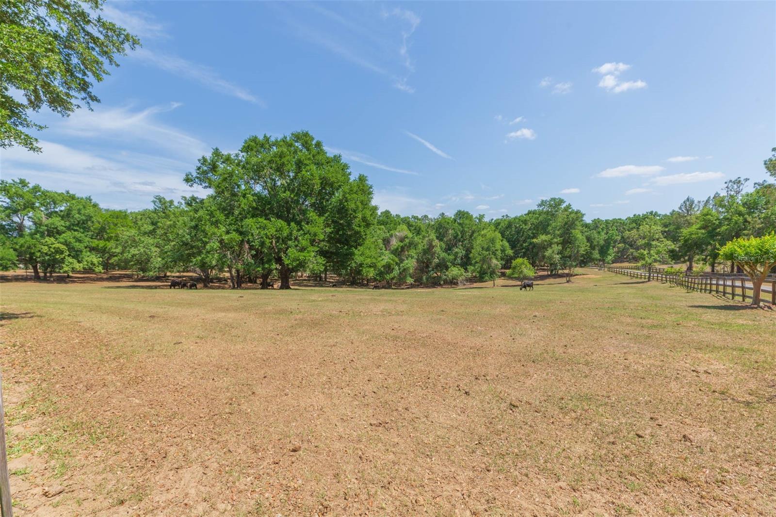 34211 BLANTON RD — photo 87