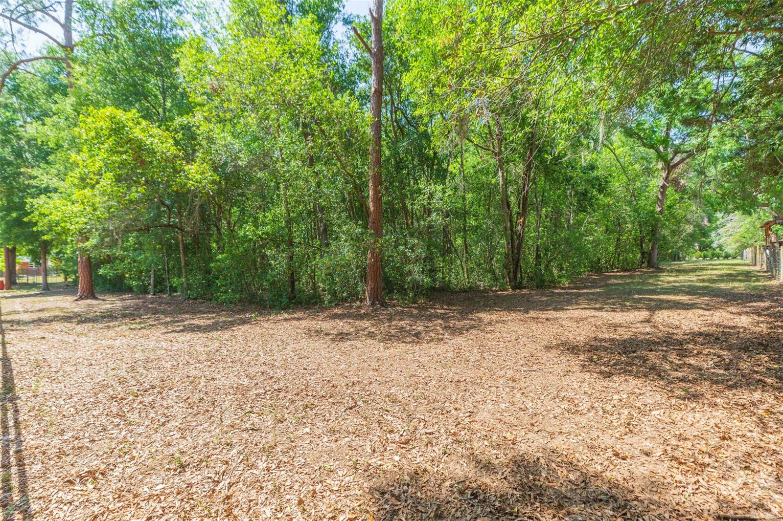 34211 BLANTON RD — photo 80