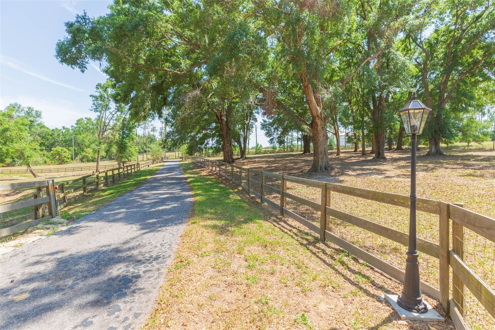 34211 BLANTON RD — photo 76