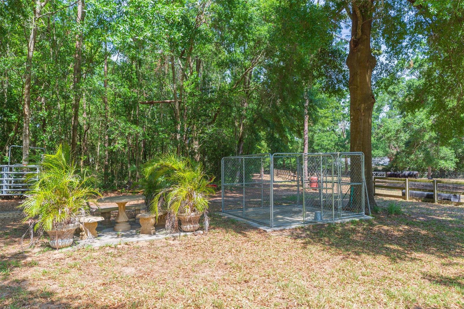 34211 BLANTON RD — photo 83