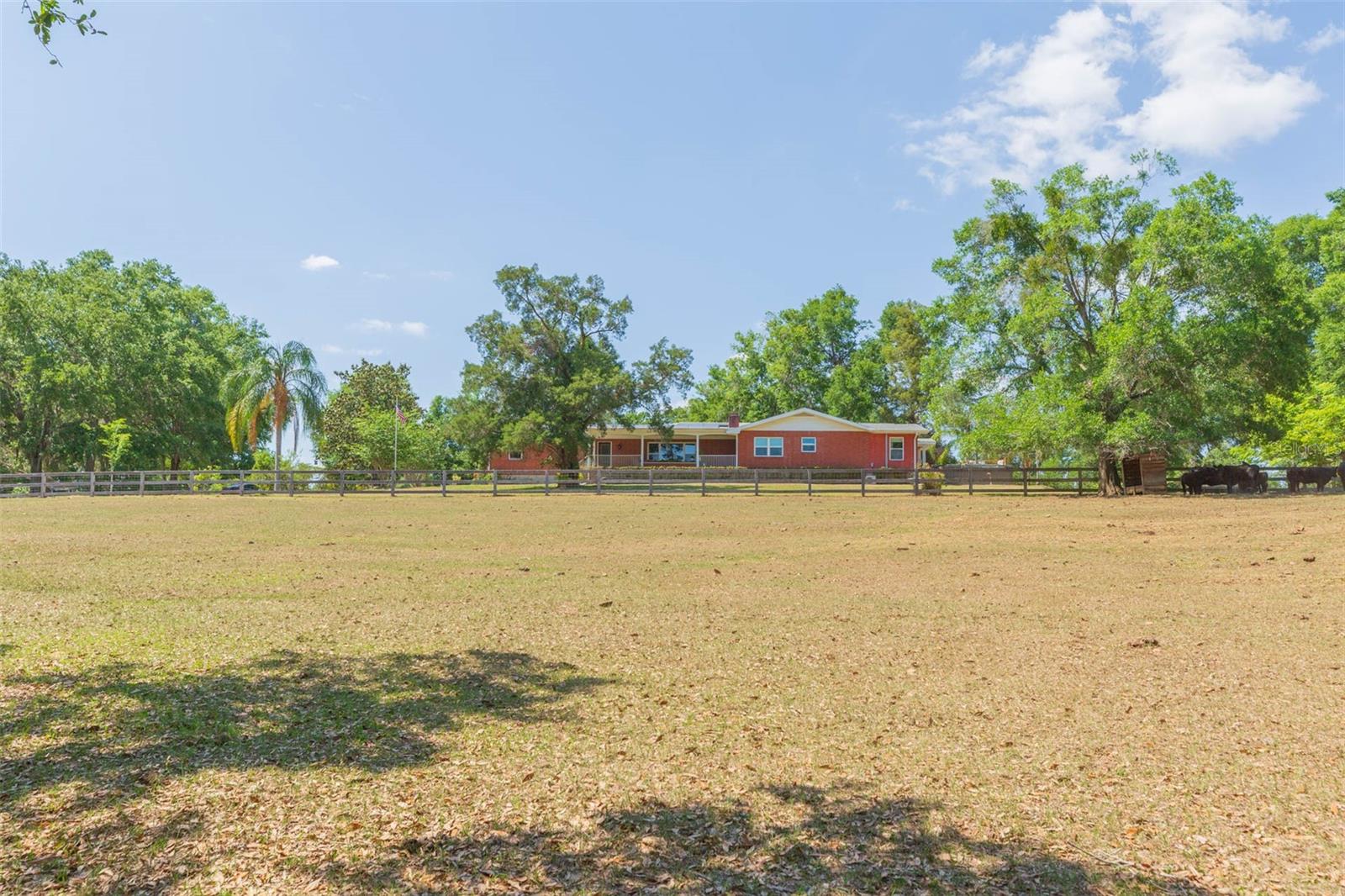 34211 BLANTON RD — photo 71