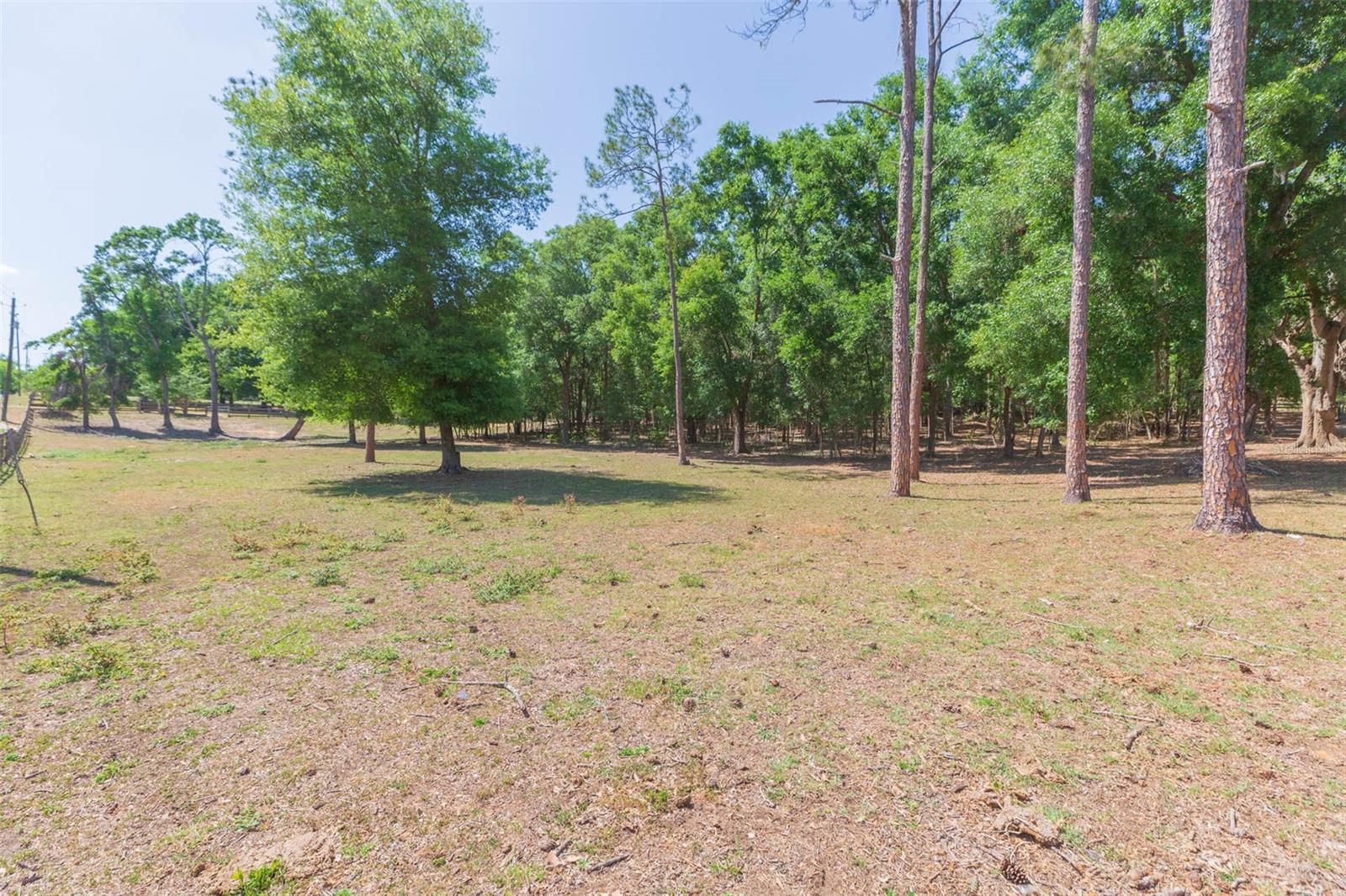 34211 BLANTON RD — photo 81