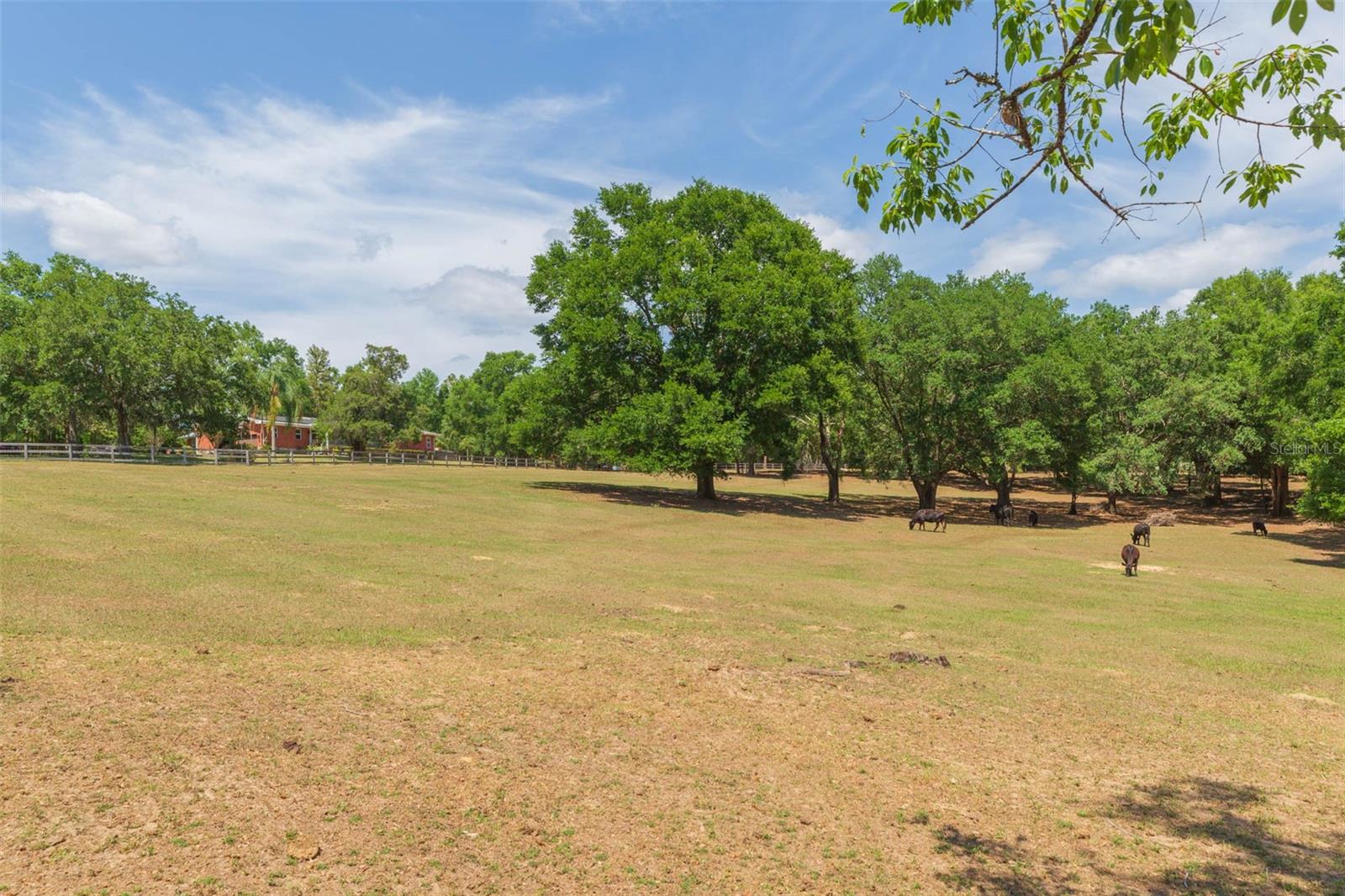 34211 BLANTON RD — photo 90