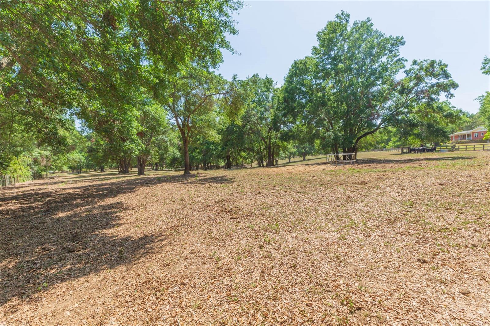 34211 BLANTON RD — photo 82