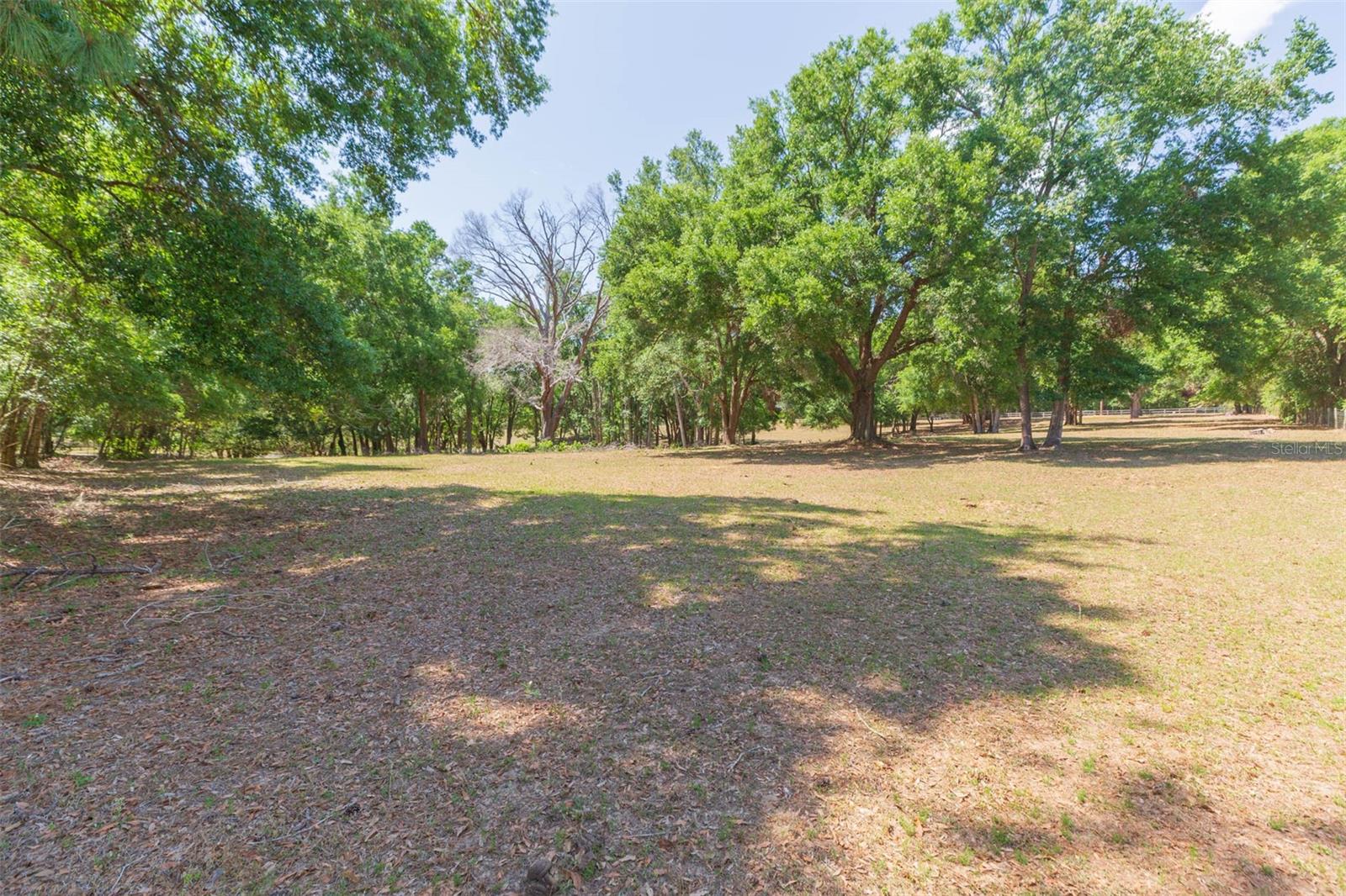 34211 BLANTON RD — photo 86