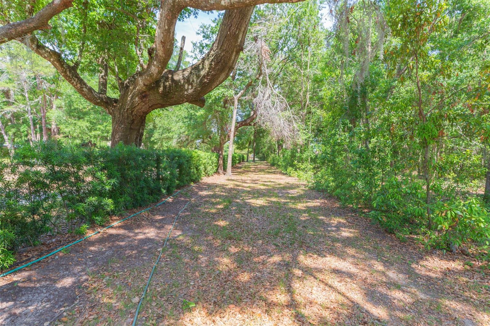 34211 BLANTON RD — photo 78