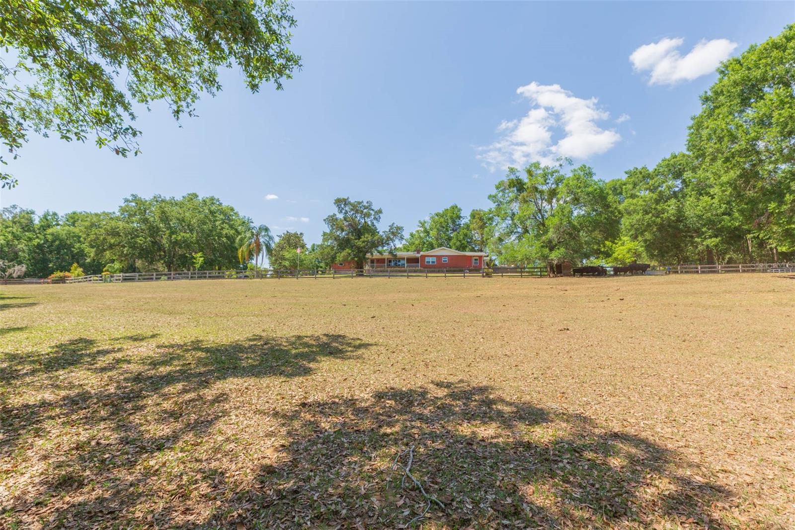34211 BLANTON RD — photo 72