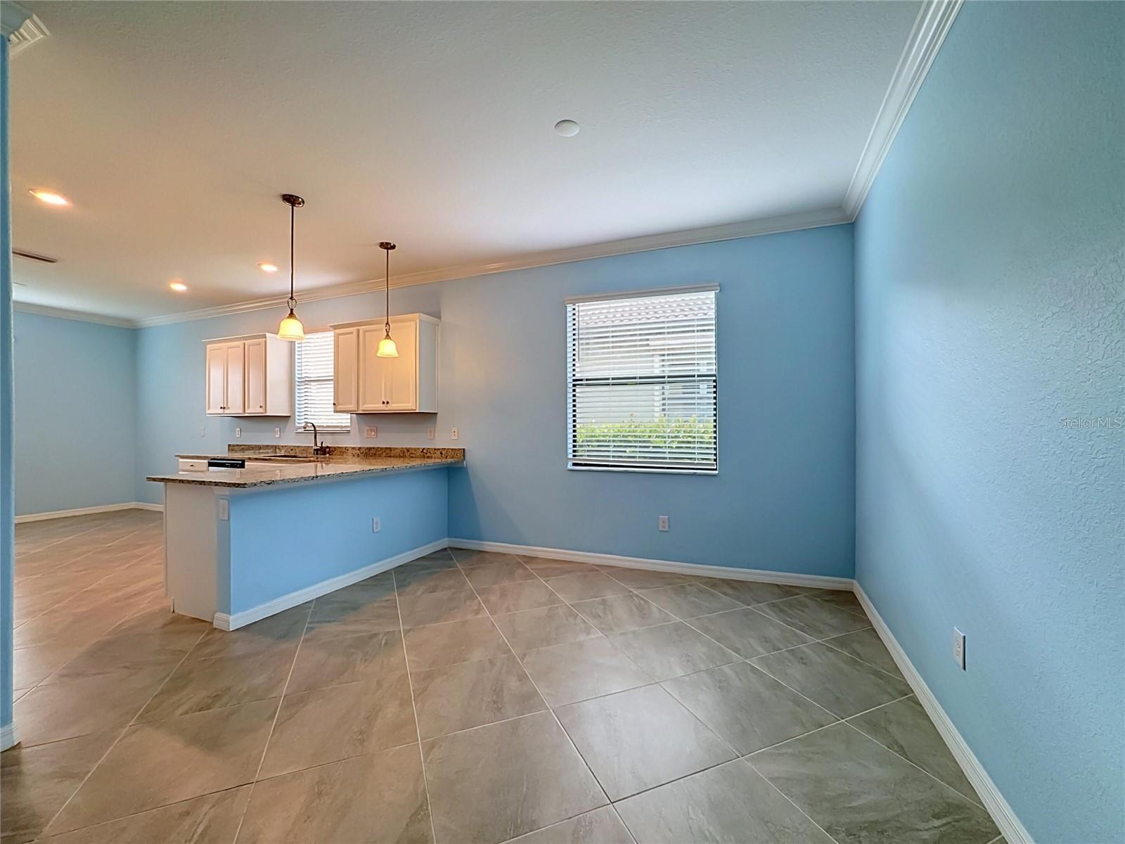 10185 COLUBRINA DR — photo 7