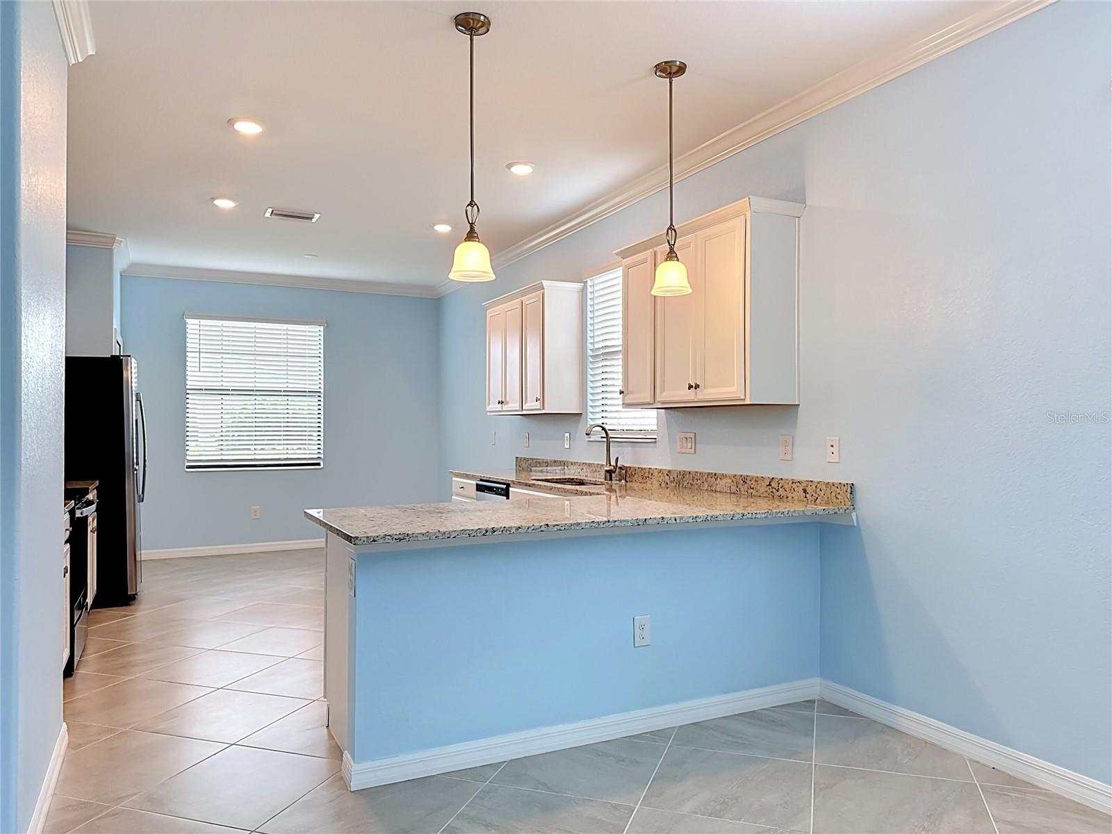 10185 COLUBRINA DR — photo 8