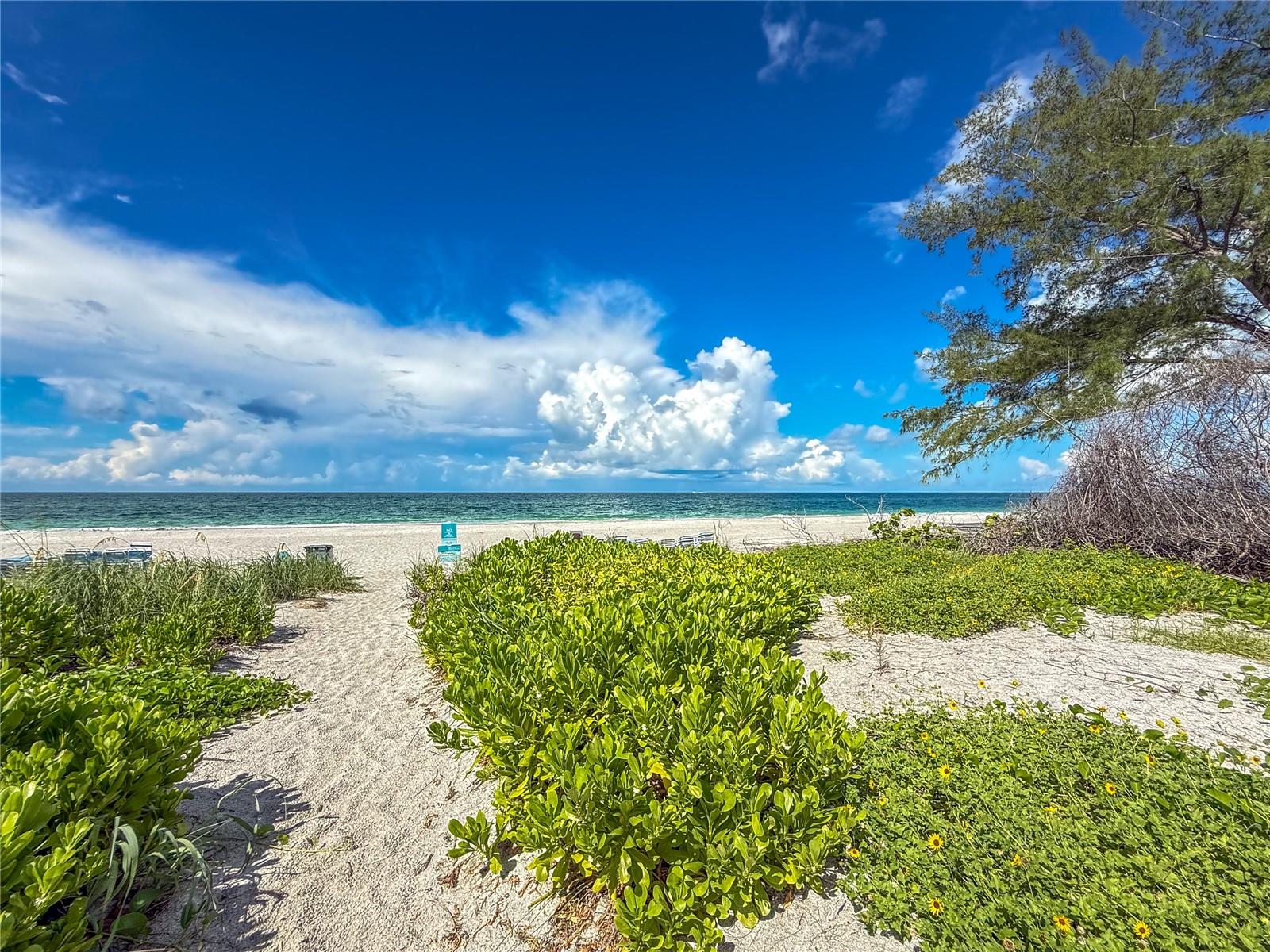 5310 GULF OF MEXICO DR #16 — photo 46