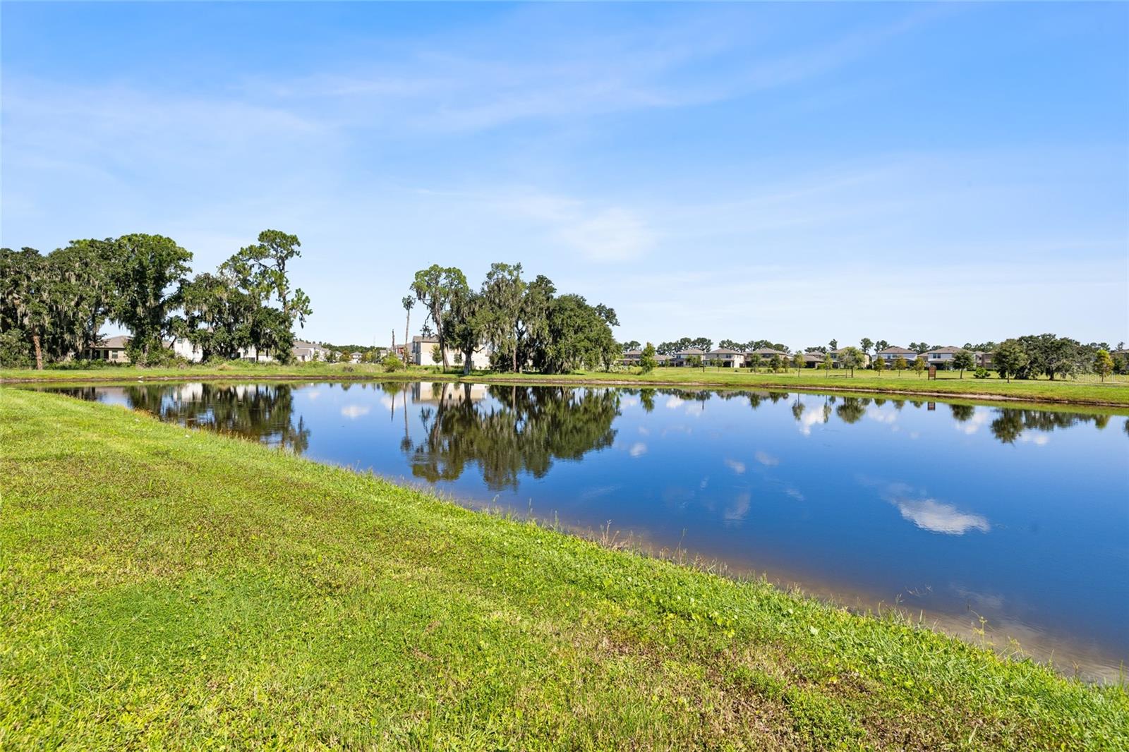 14886 SUMMER BRANCH DR — photo 43