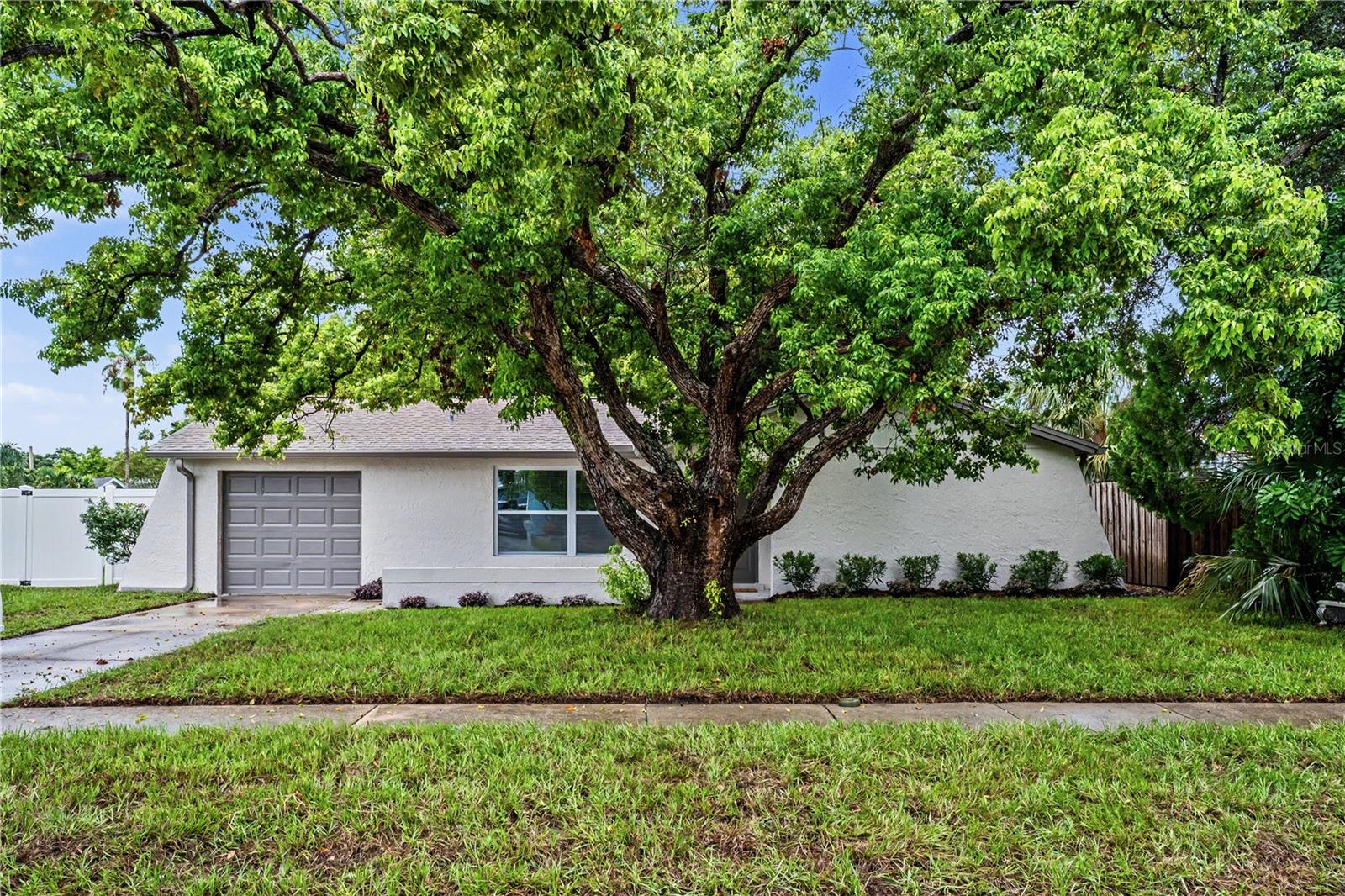 11928 TEMPLE CT — photo 2