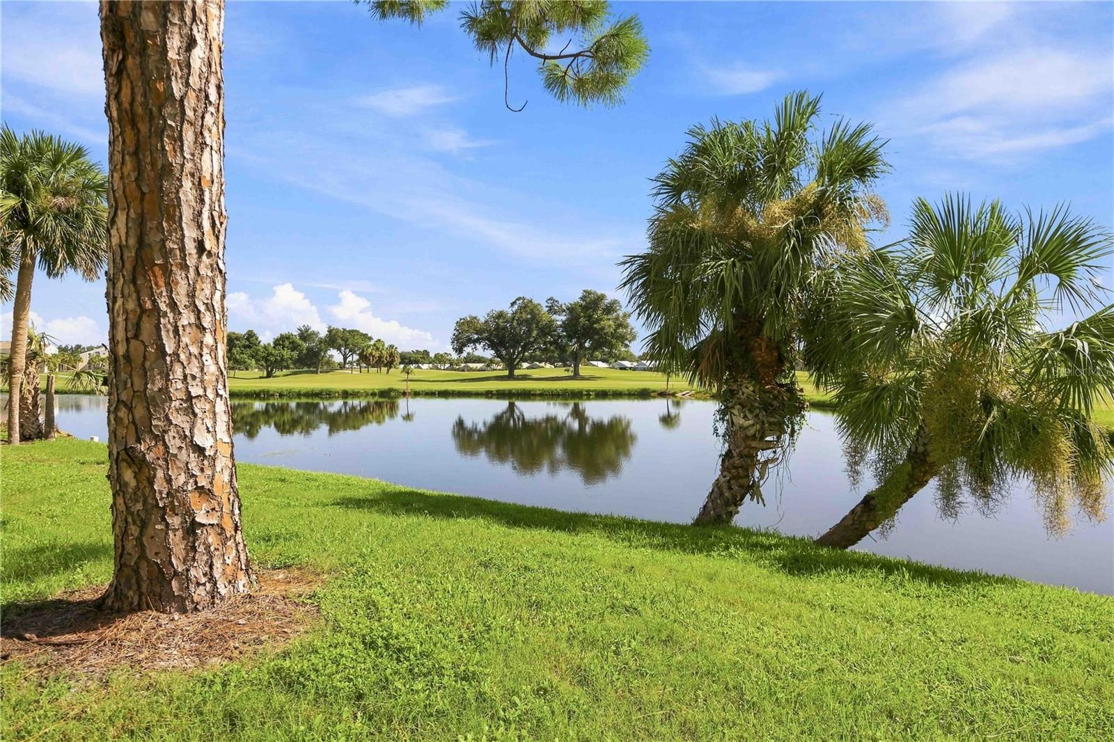 406 CERROMAR CIR N #328 — photo 45