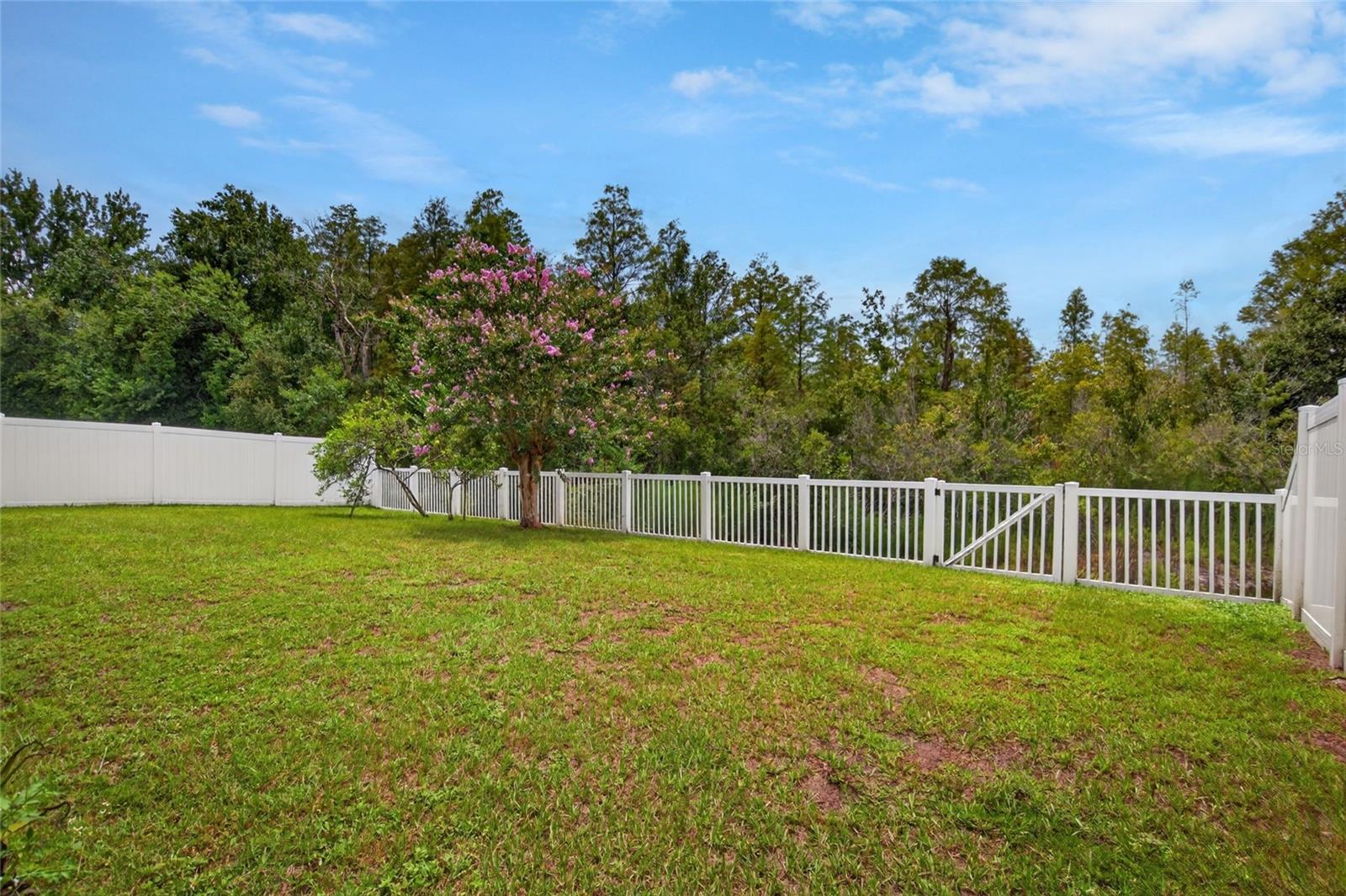 24331 CROSSCUT RD — photo 45
