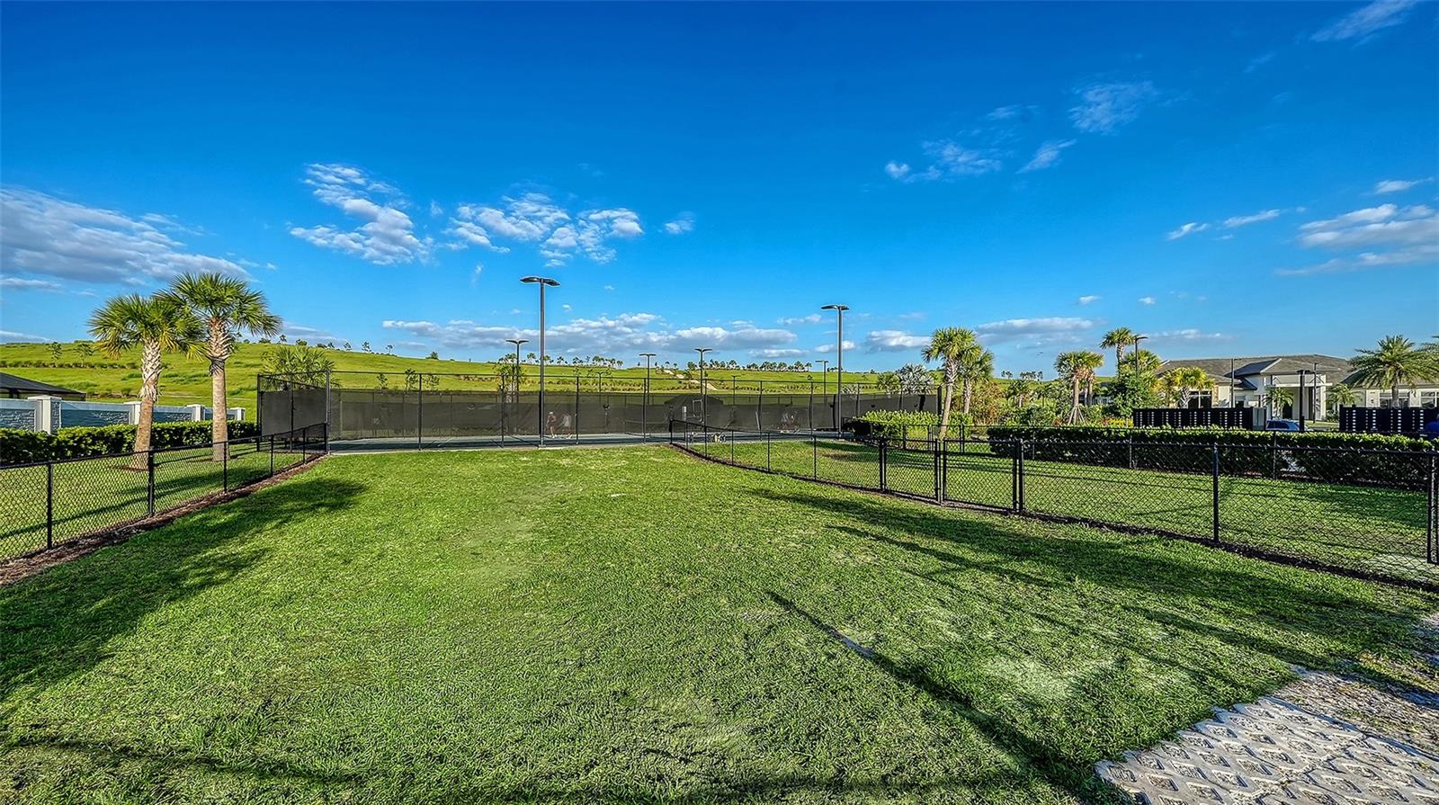 6066 MESA GLN — photo 56