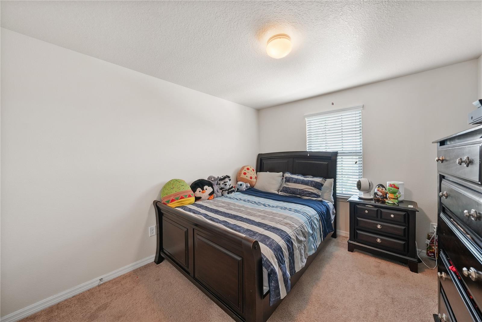 8415 LOBLOLLY PINE CT — photo 16