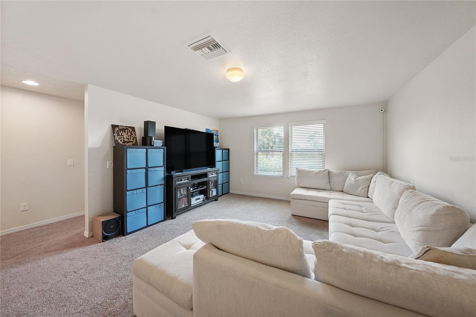 8415 LOBLOLLY PINE CT — photo 19