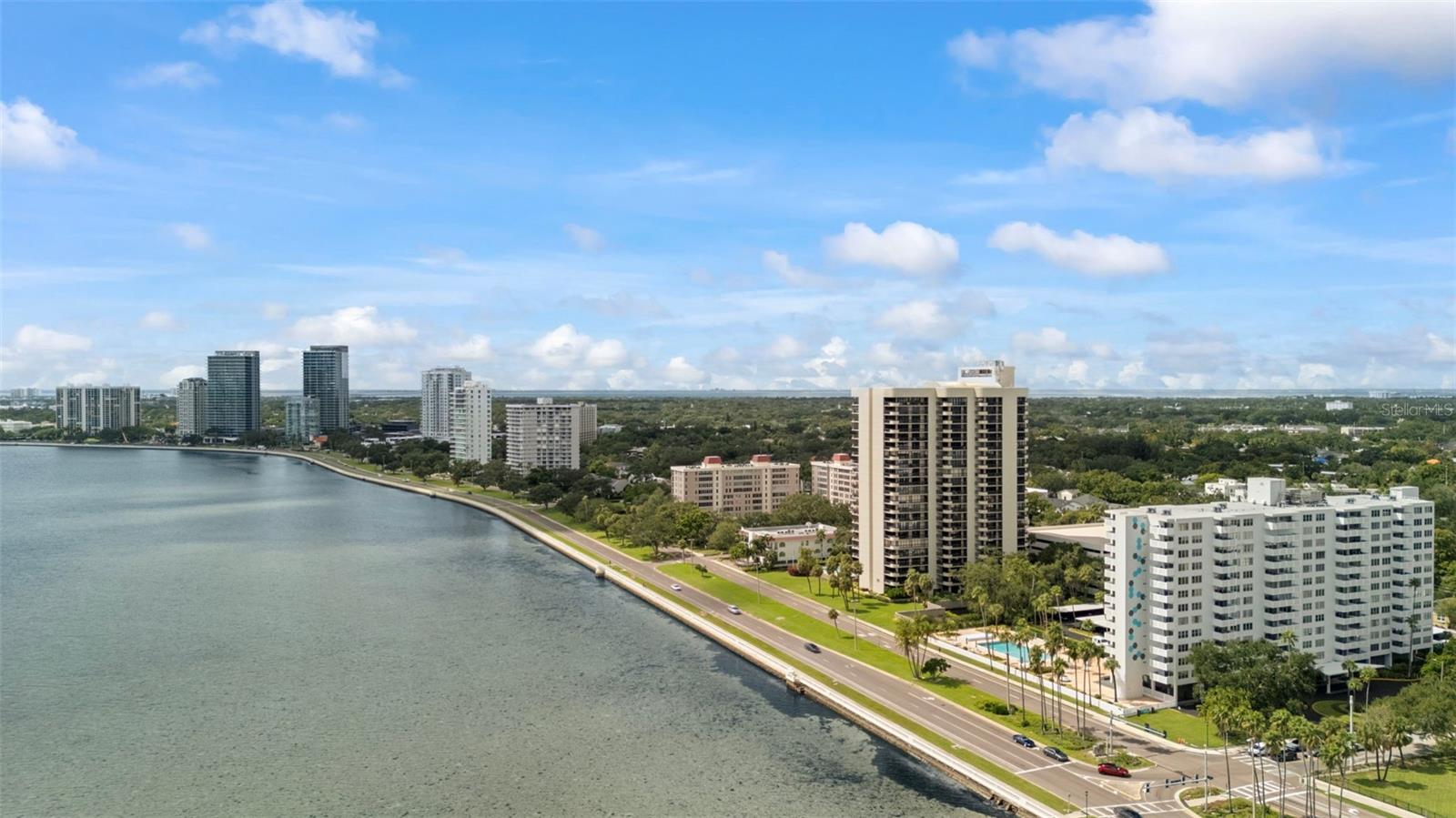 4141 BAYSHORE BLVD #604 — photo 43