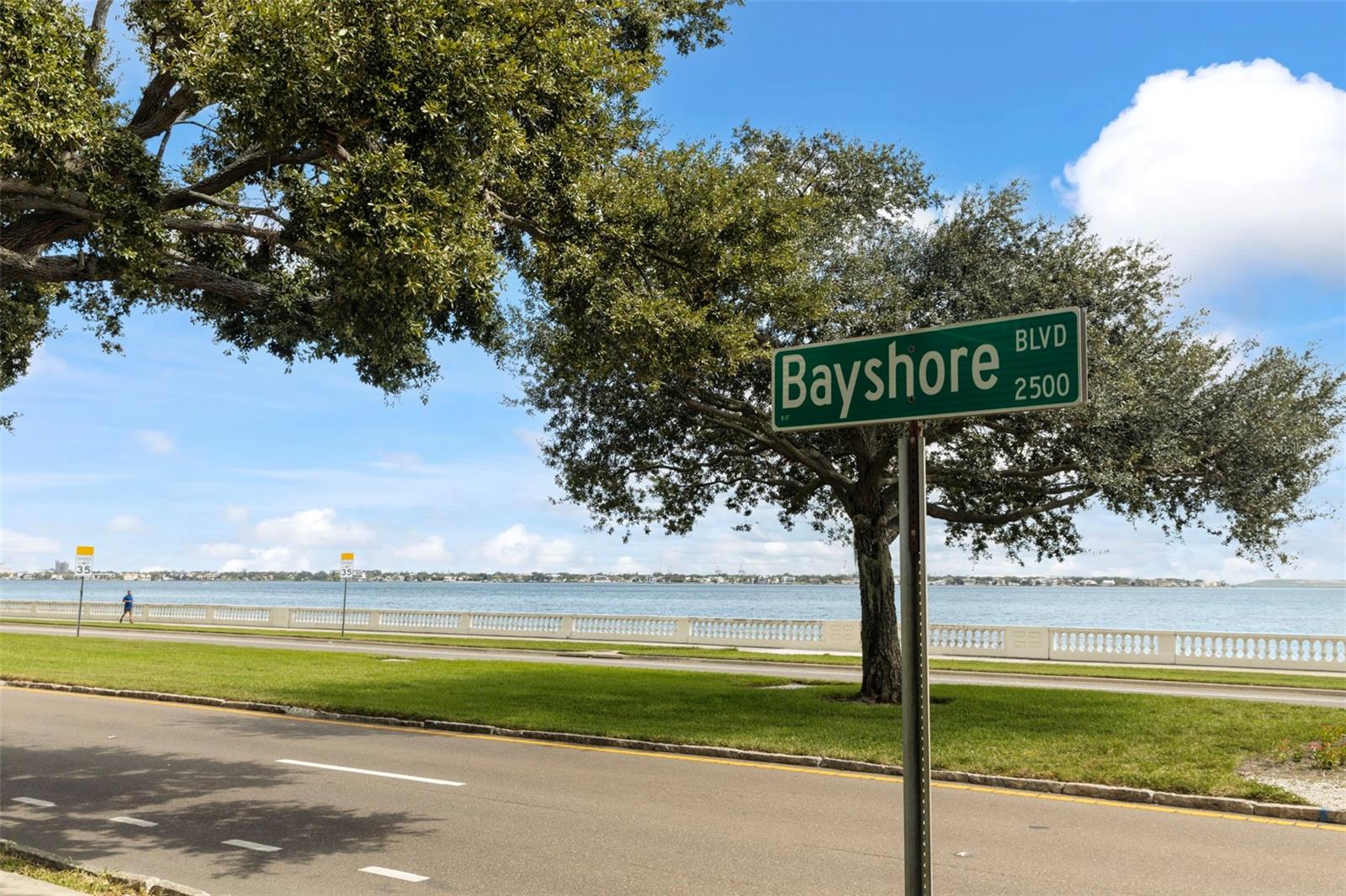 4141 BAYSHORE BLVD #604 — photo 48