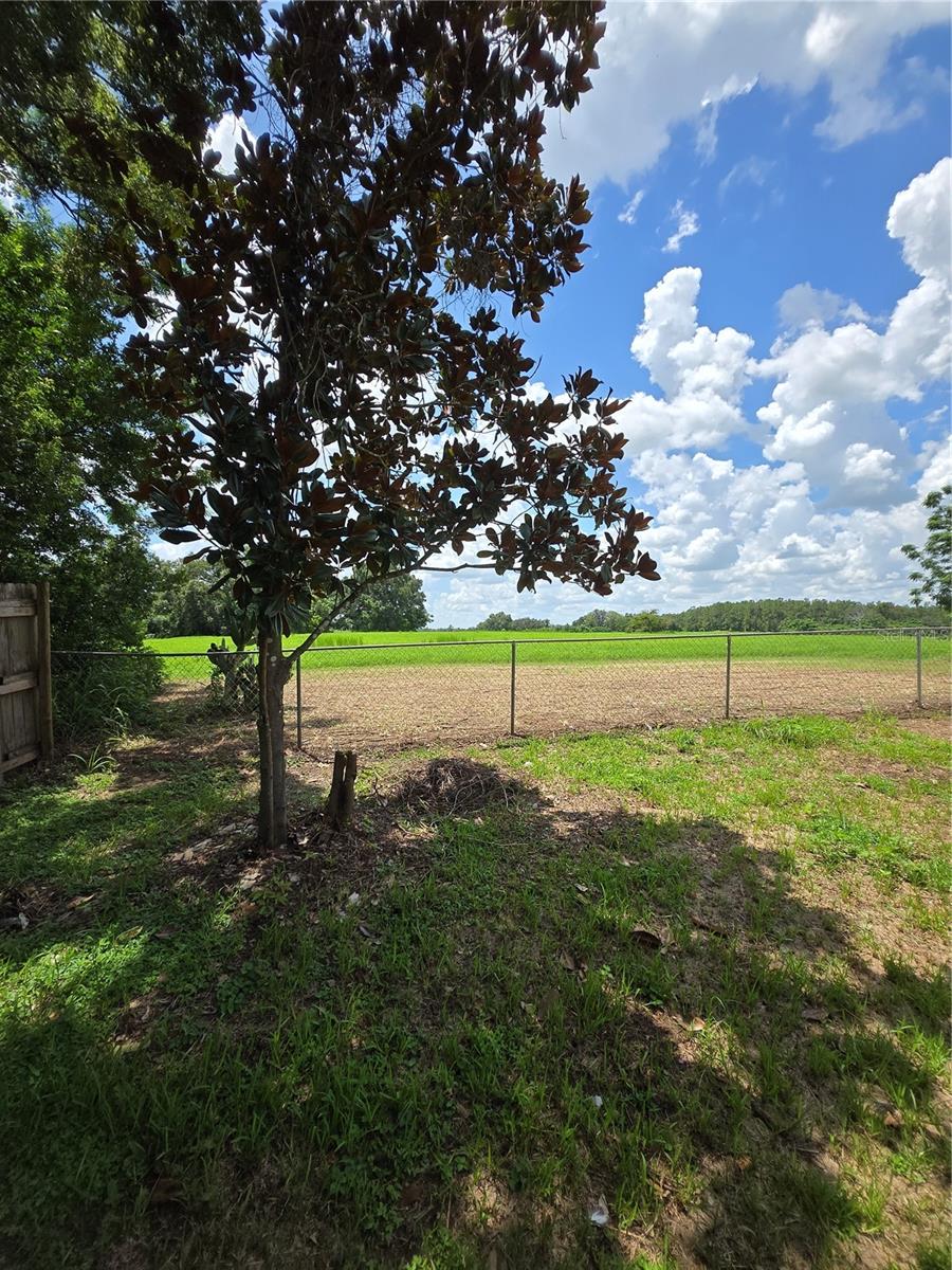 37406 VISTA DR — photo 22