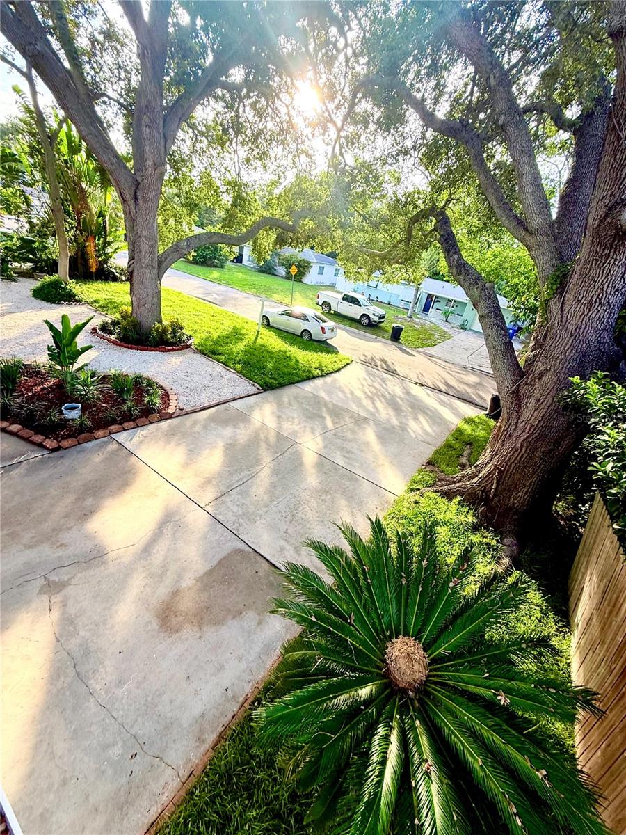 1557 ROBINSON DR N — photo 42