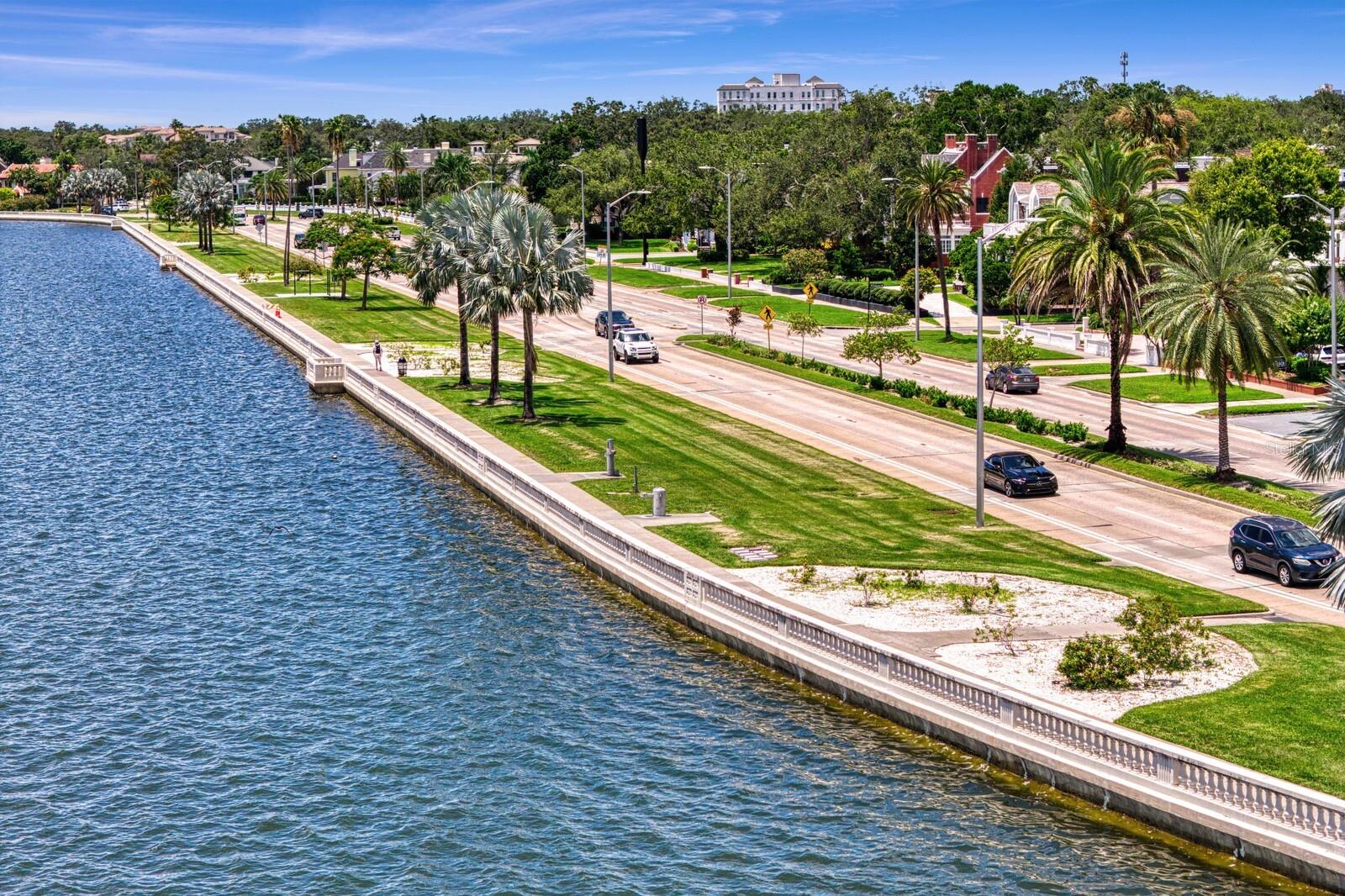907 BAYSHORE BLVD — photo 51