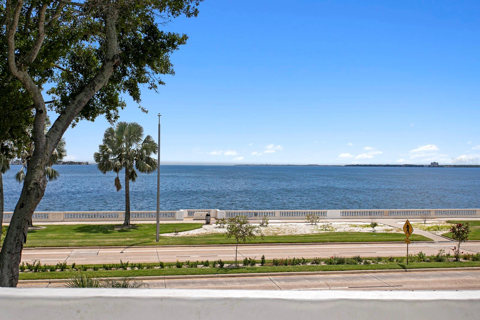 907 BAYSHORE BLVD — photo 25