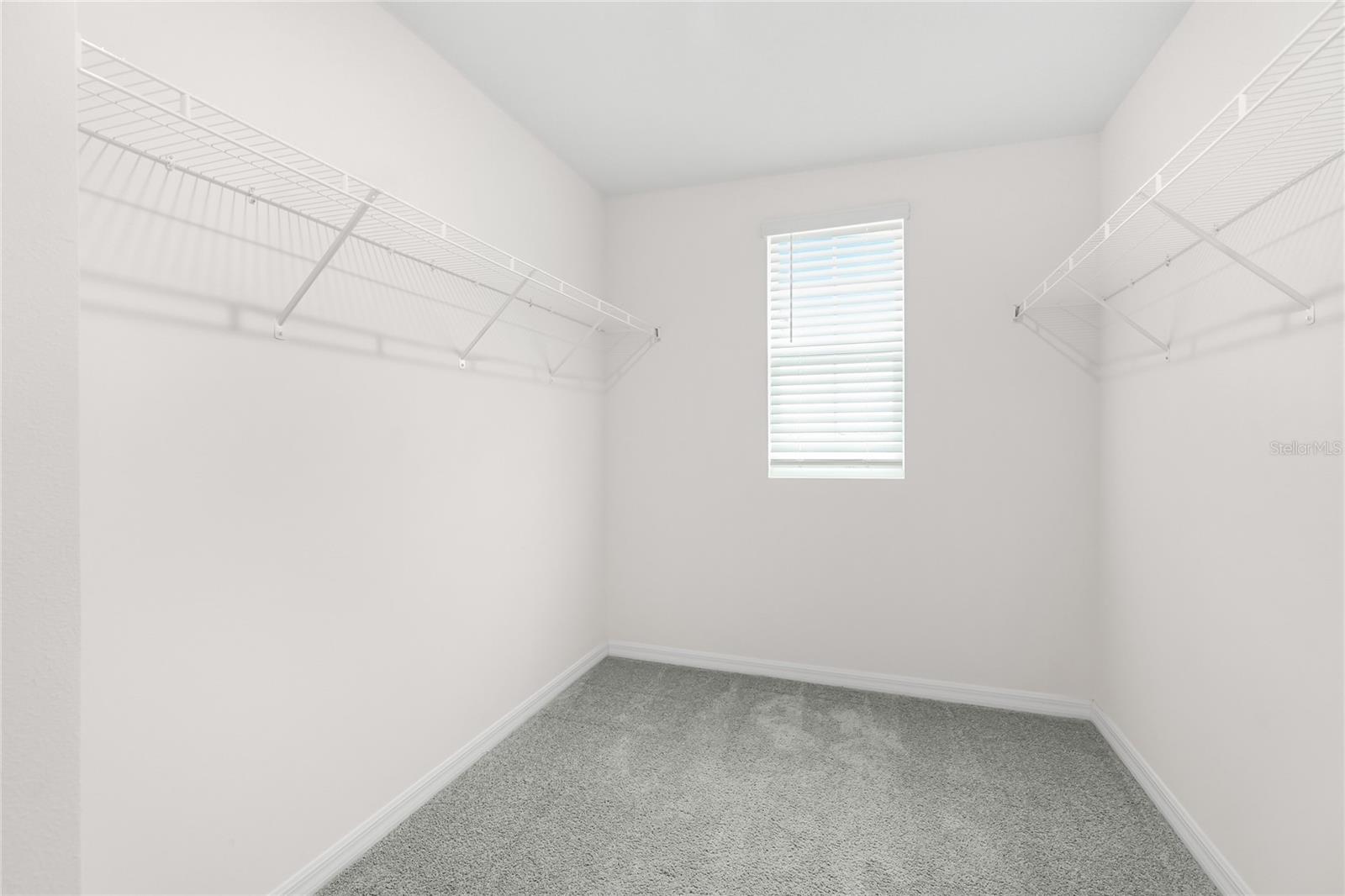 10116 CHARLOTTE DR — photo 27
