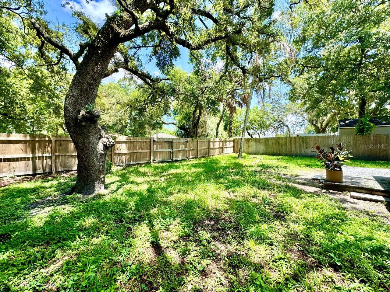 1918 E SHADOWLAWN AVE — photo 28