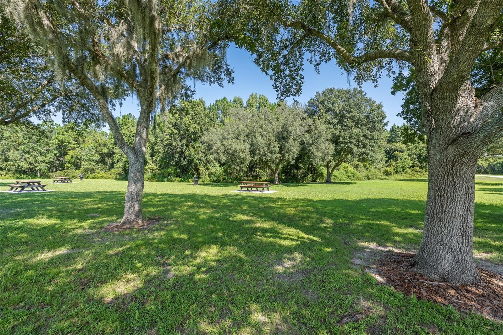 19002 NARIMORE DR — photo 49