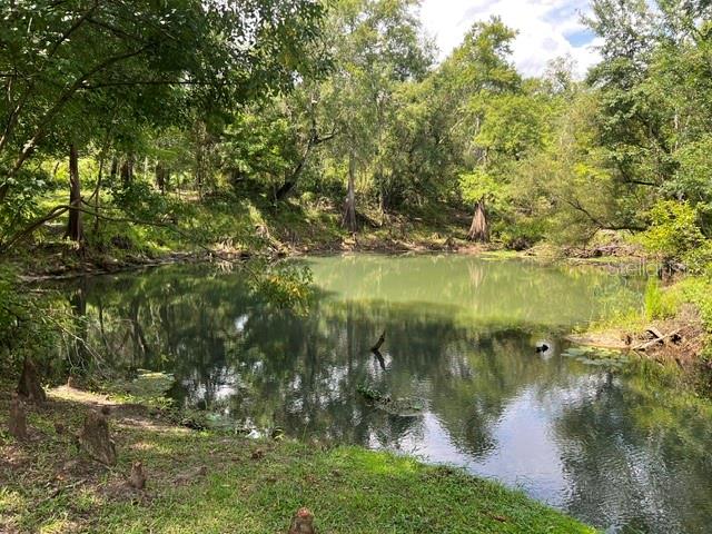39849 STATE ROAD 575 — photo 4