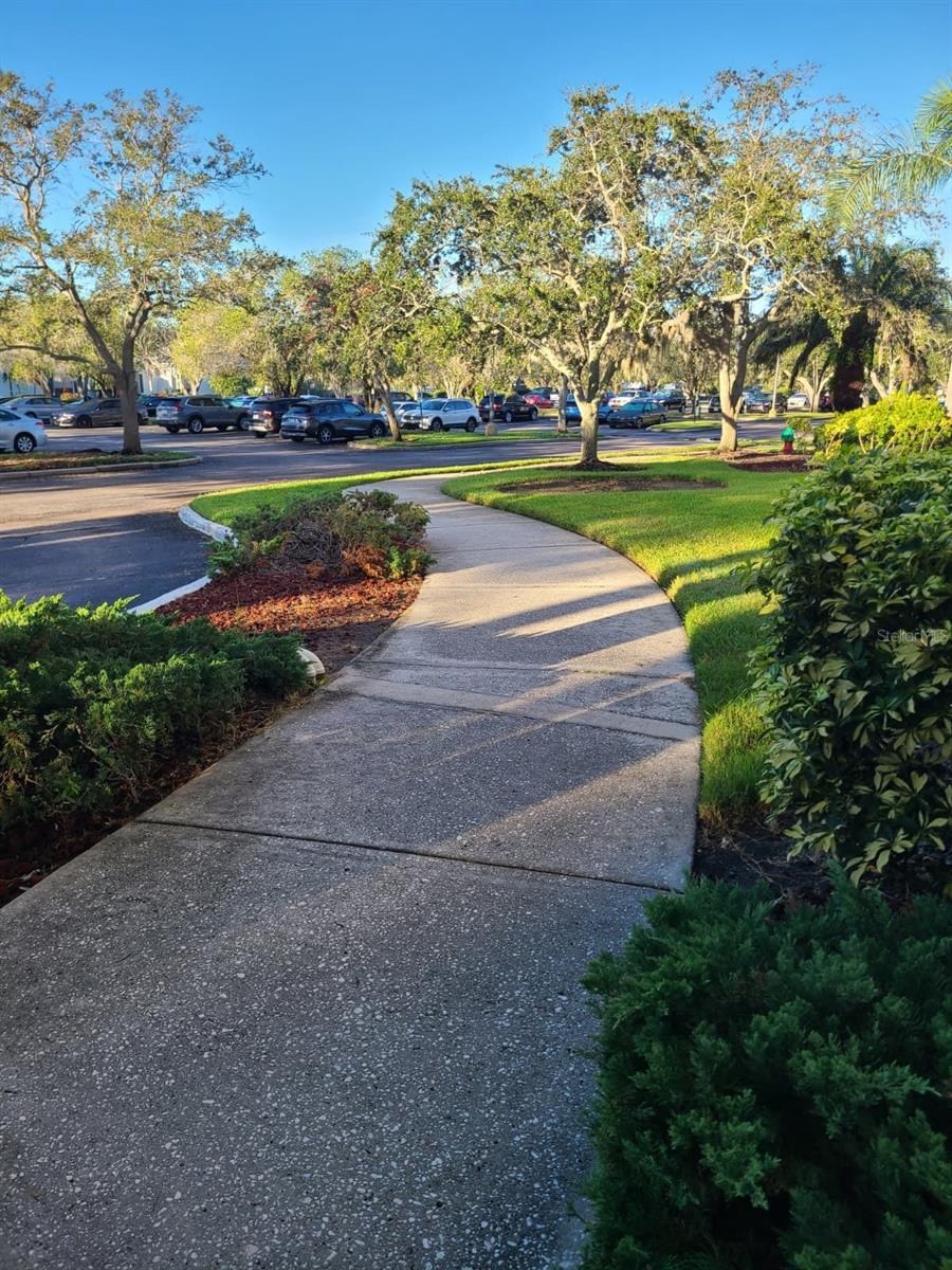 2333 FEATHER SOUND DR #A208 — photo 7