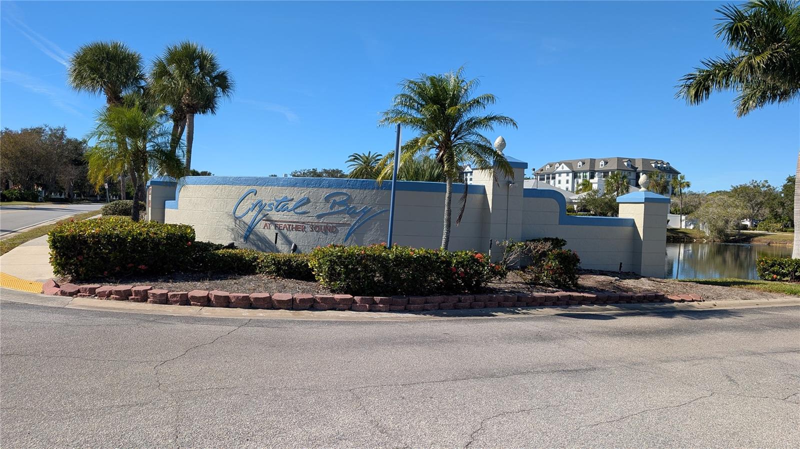 2333 FEATHER SOUND DR #A208 — photo 3