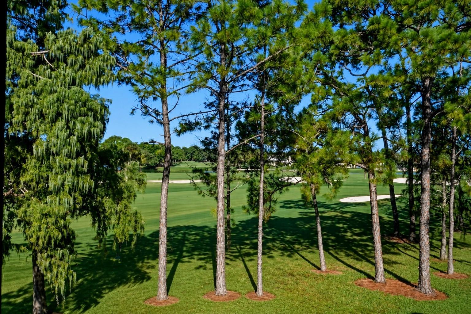 2400 FEATHER SOUND DR #427 — photo 13