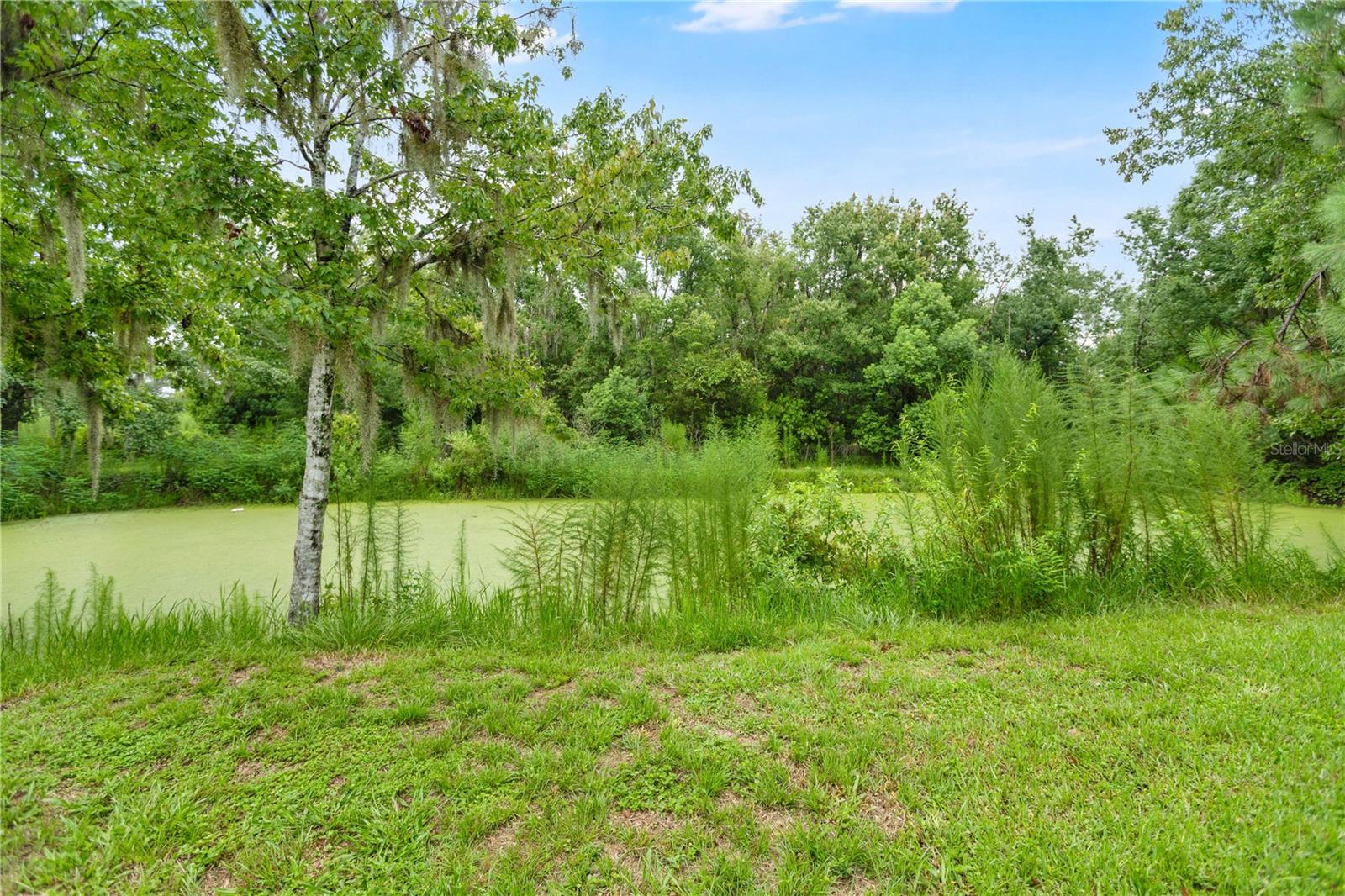 3702 CORK RD — photo 23