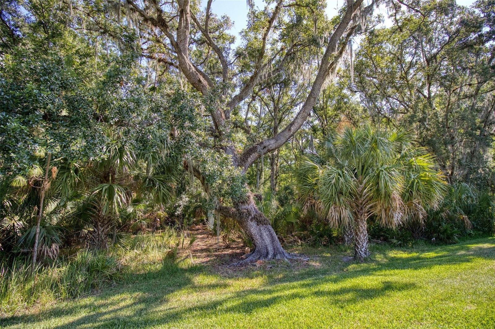 26888 FIDDLEWOOD LOOP — photo 49