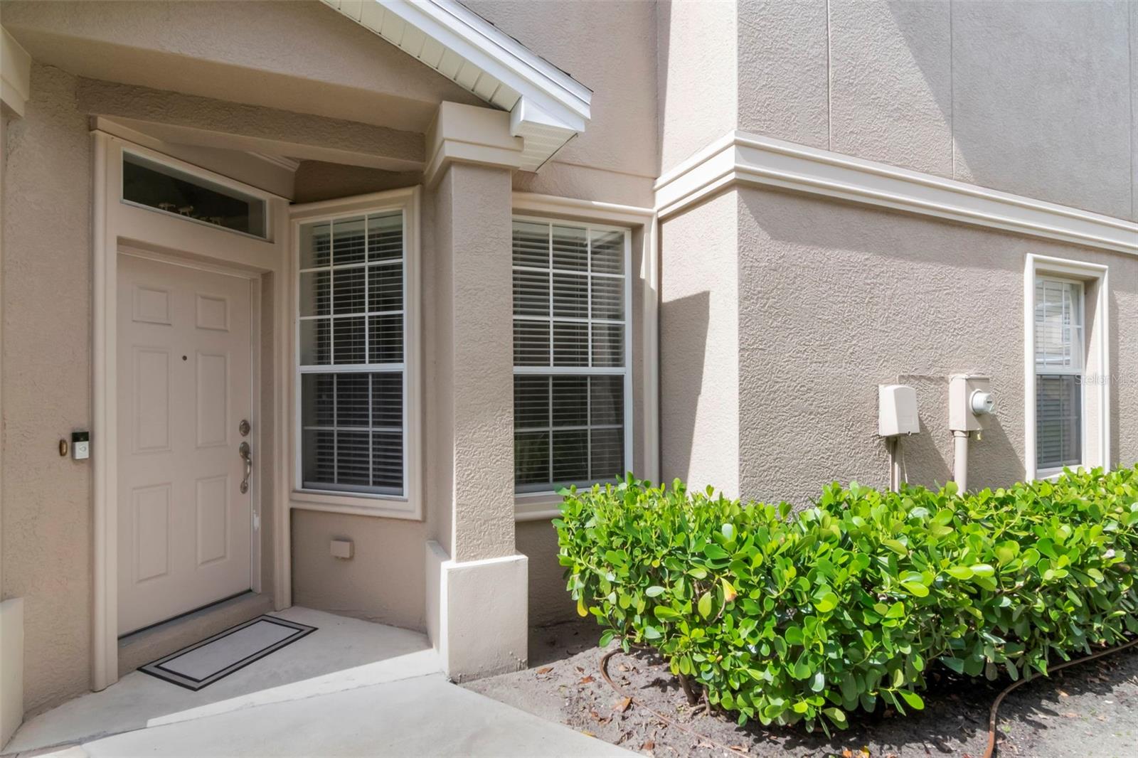 4111 BISMARCK PALM DR — photo 2