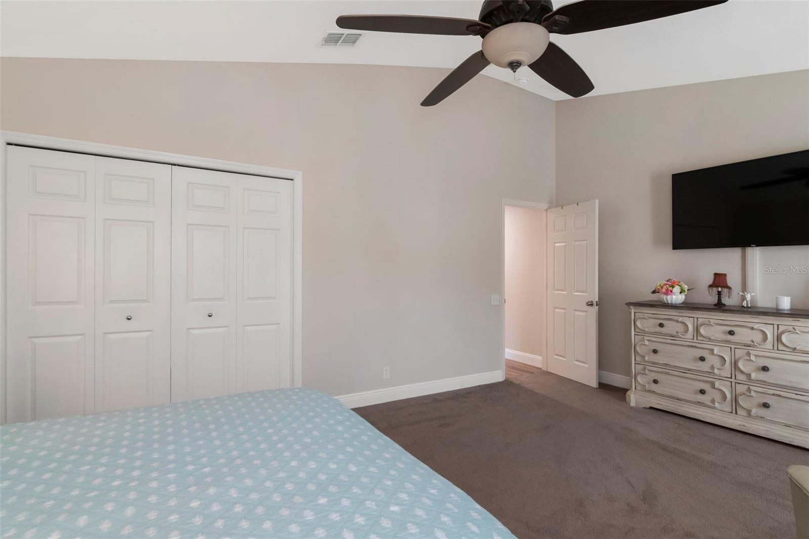 4111 BISMARCK PALM DR — photo 24