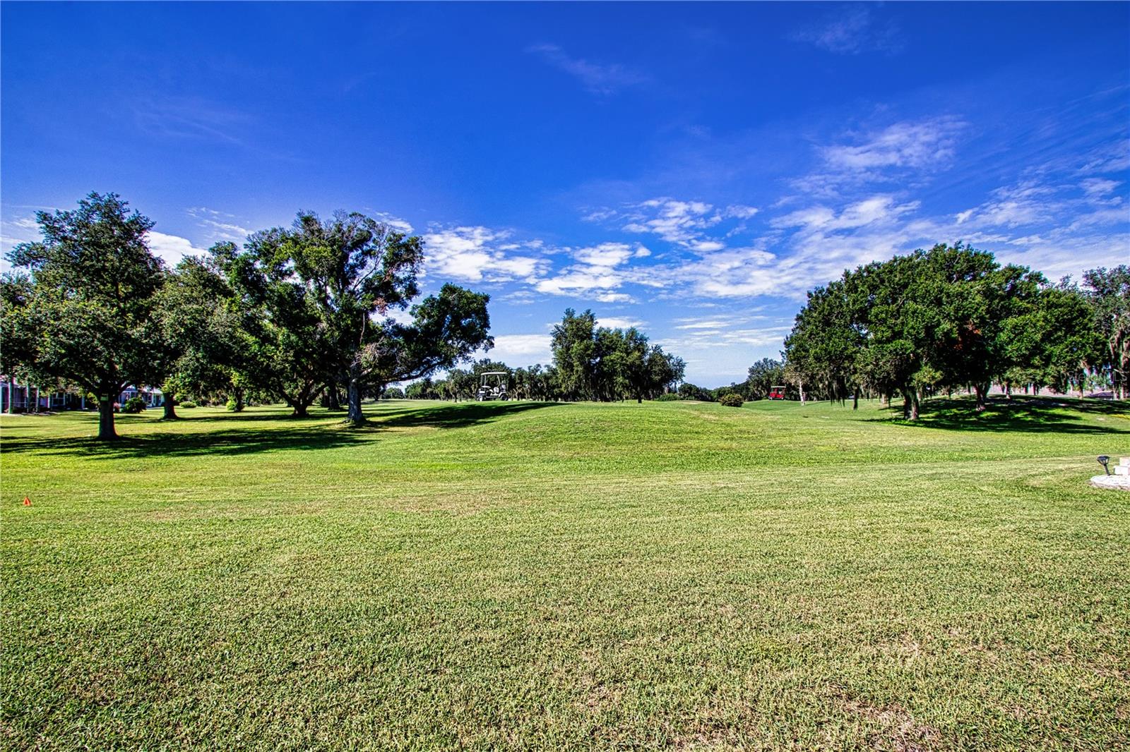 2424 E DEL WEBB BLVD — photo 59