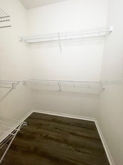 8343 TORRINGTON AVE — photo 22