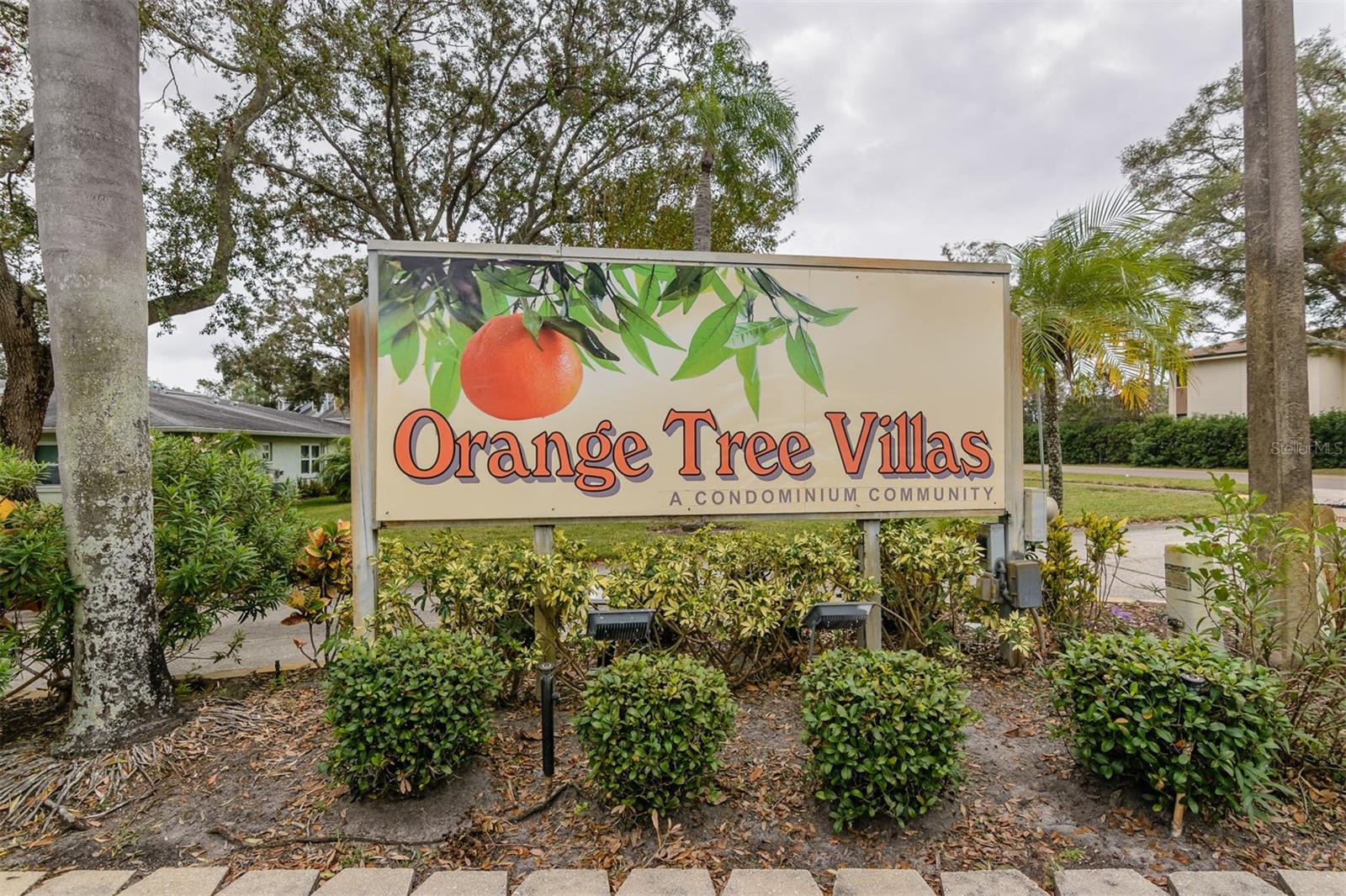 1139 ORANGE TREE CIR E #A — photo 27