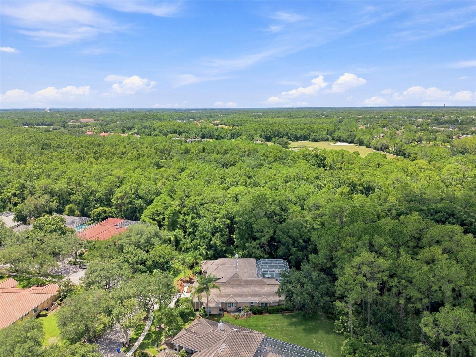 9212 PINE ISLAND CT — photo 86