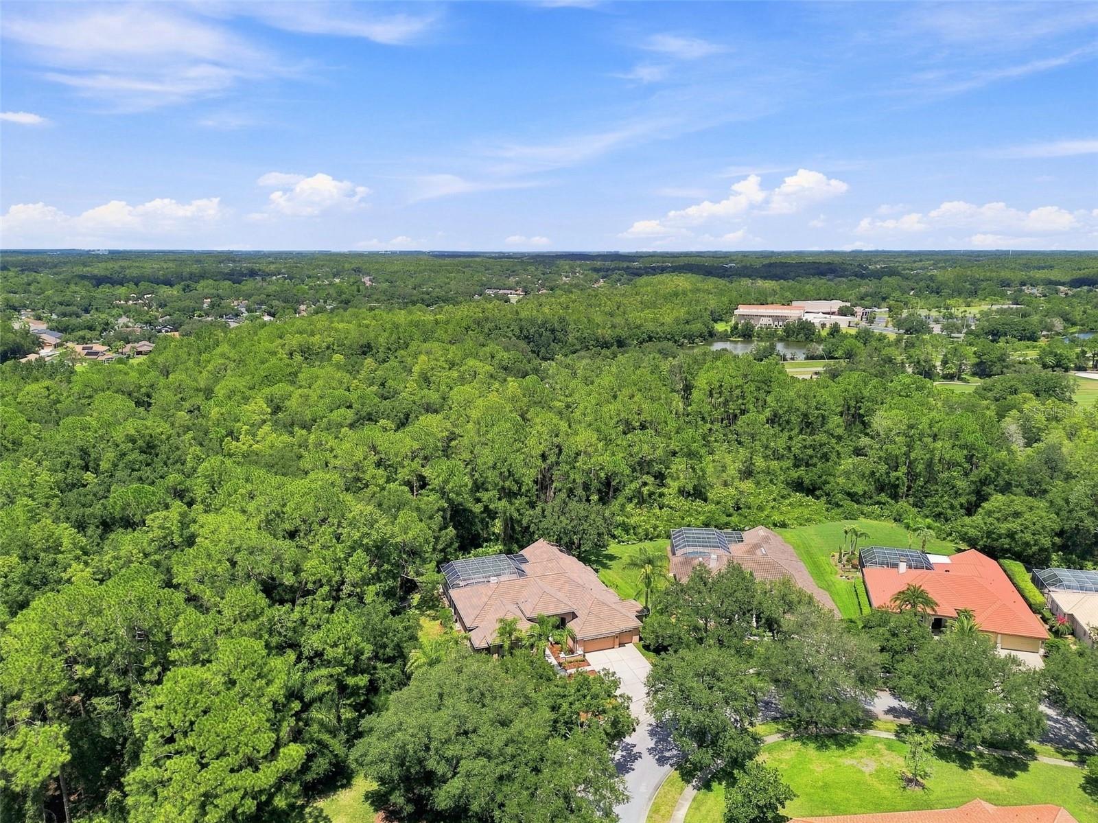 9212 PINE ISLAND CT — photo 87