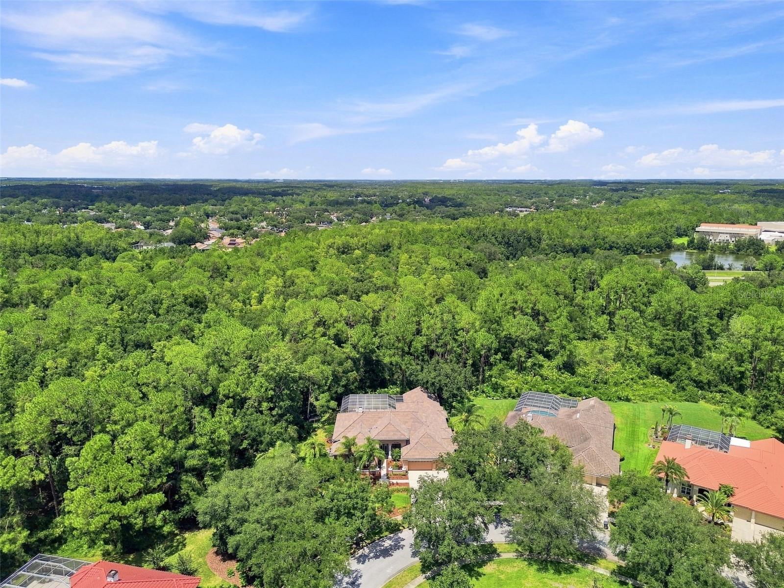 9212 PINE ISLAND CT — photo 89