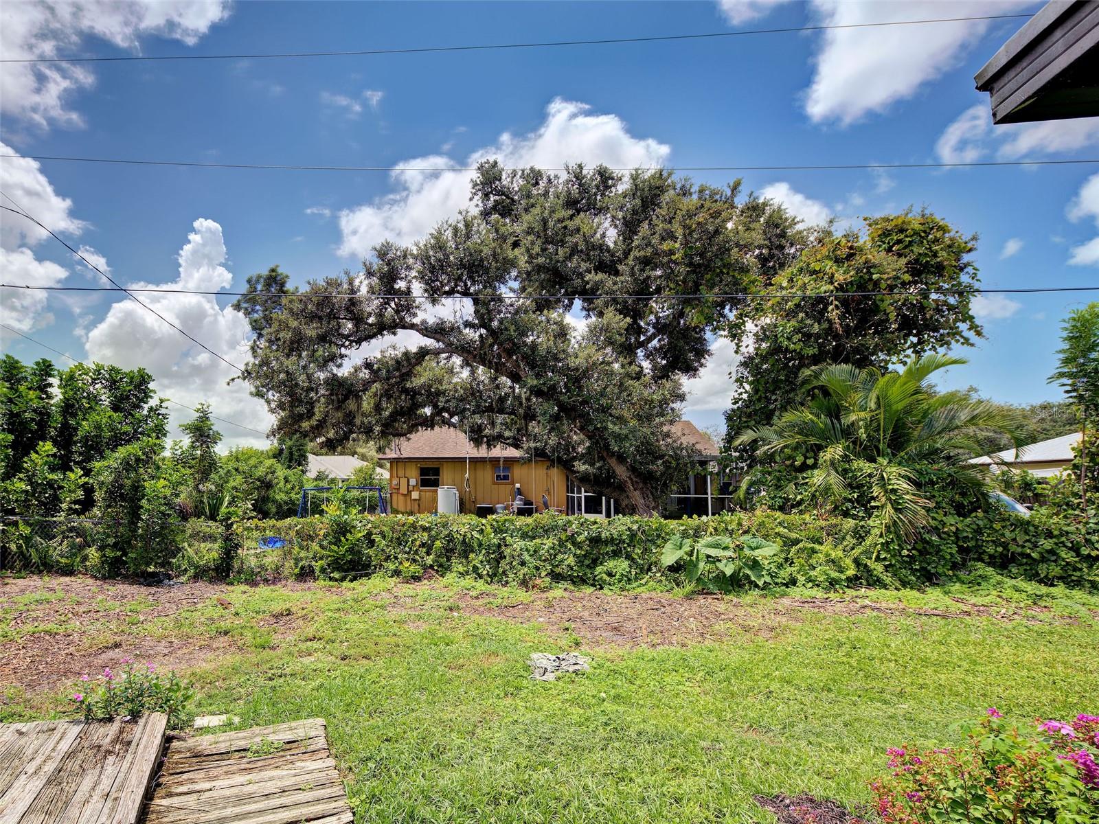 355 TRINITY RD — photo 9