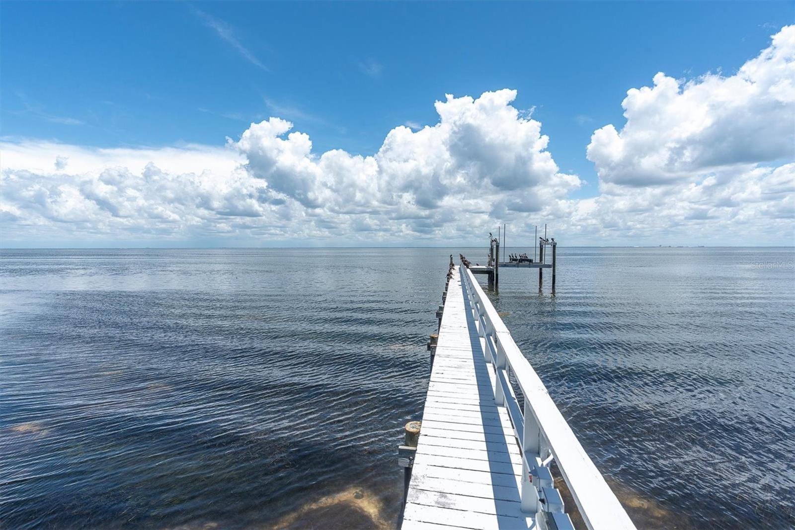 5810 BAHAMA SHORES DR S — photo 45