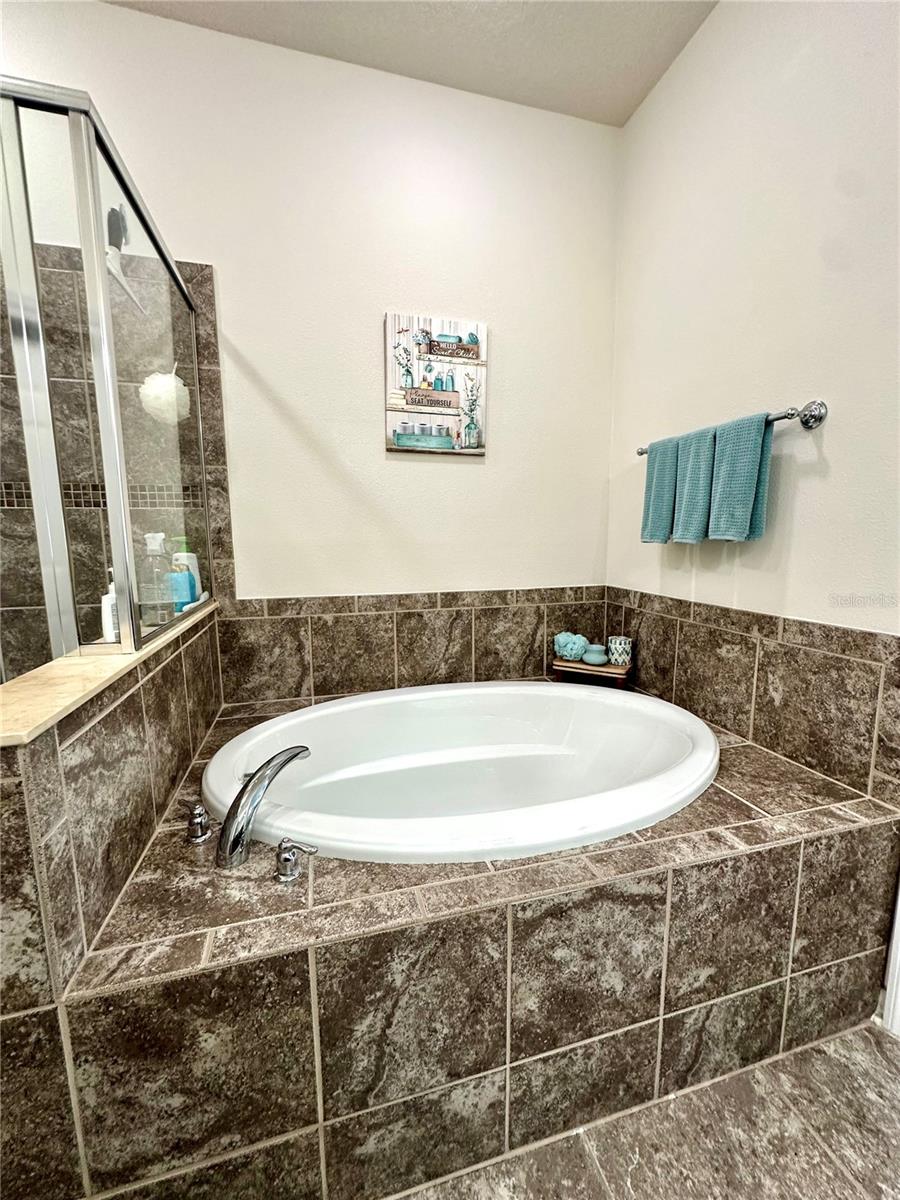4247 ANGELICA LOOP — photo 21